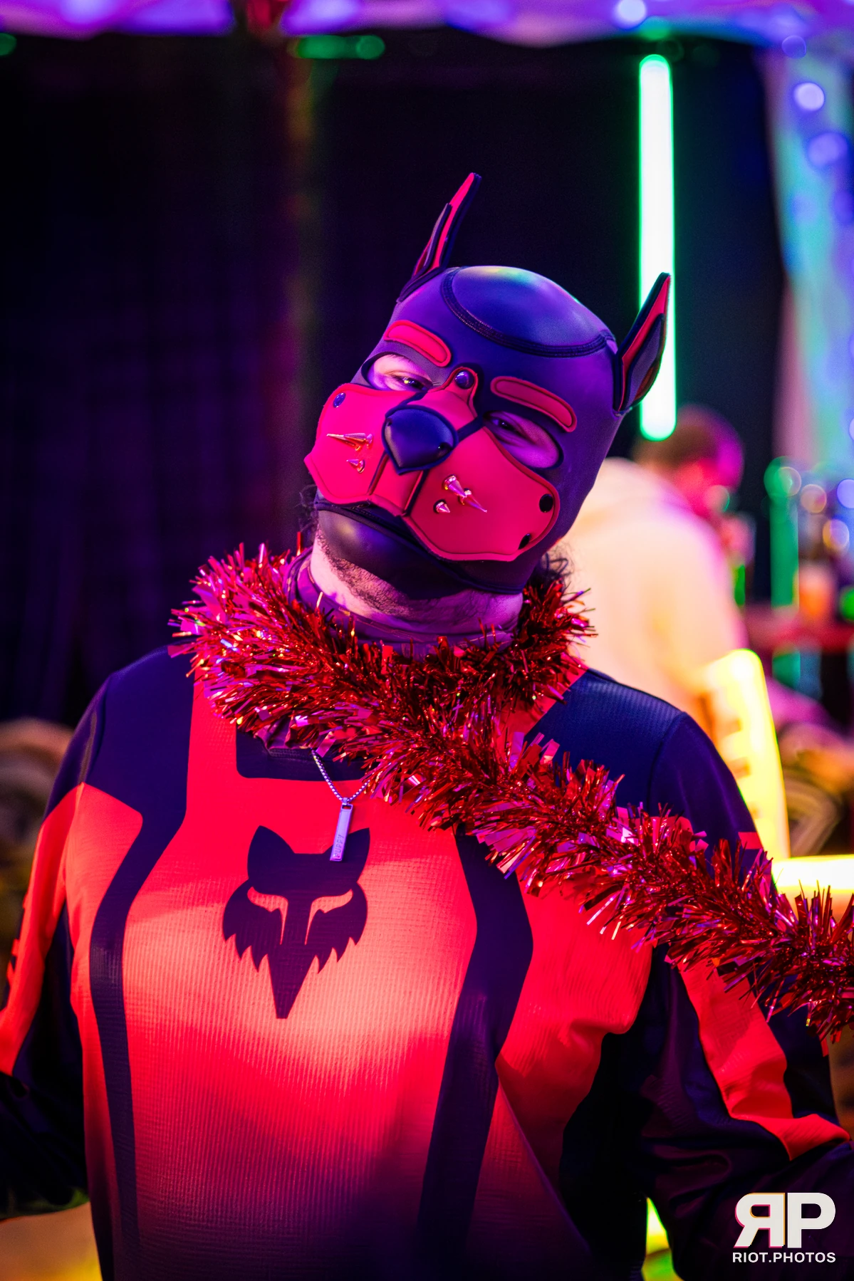 Kennel Klub - December, 2025 — 06 Dec 2025, Fluffy Riot photography — photo 58