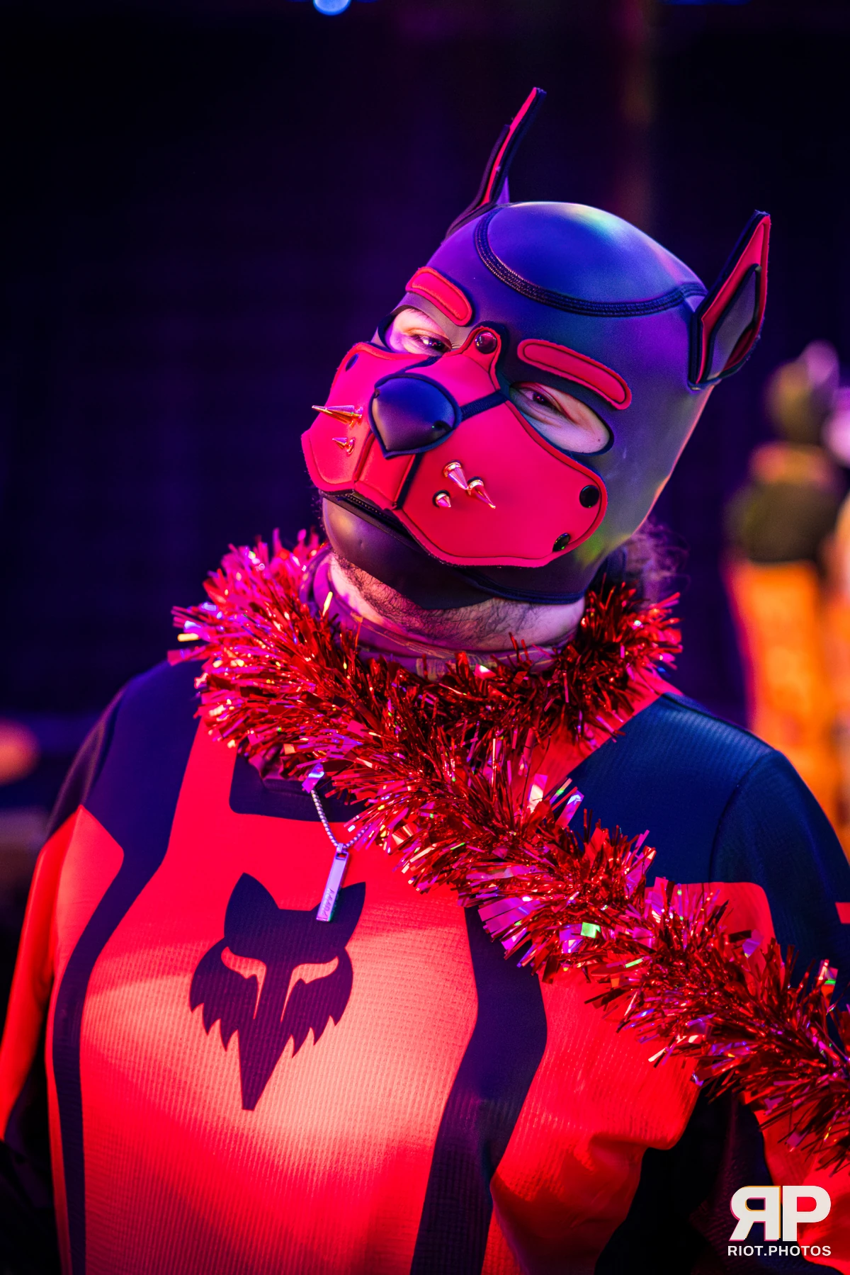 Kennel Klub - December, 2025 — 06 Dec 2025, Fluffy Riot photography — photo 59