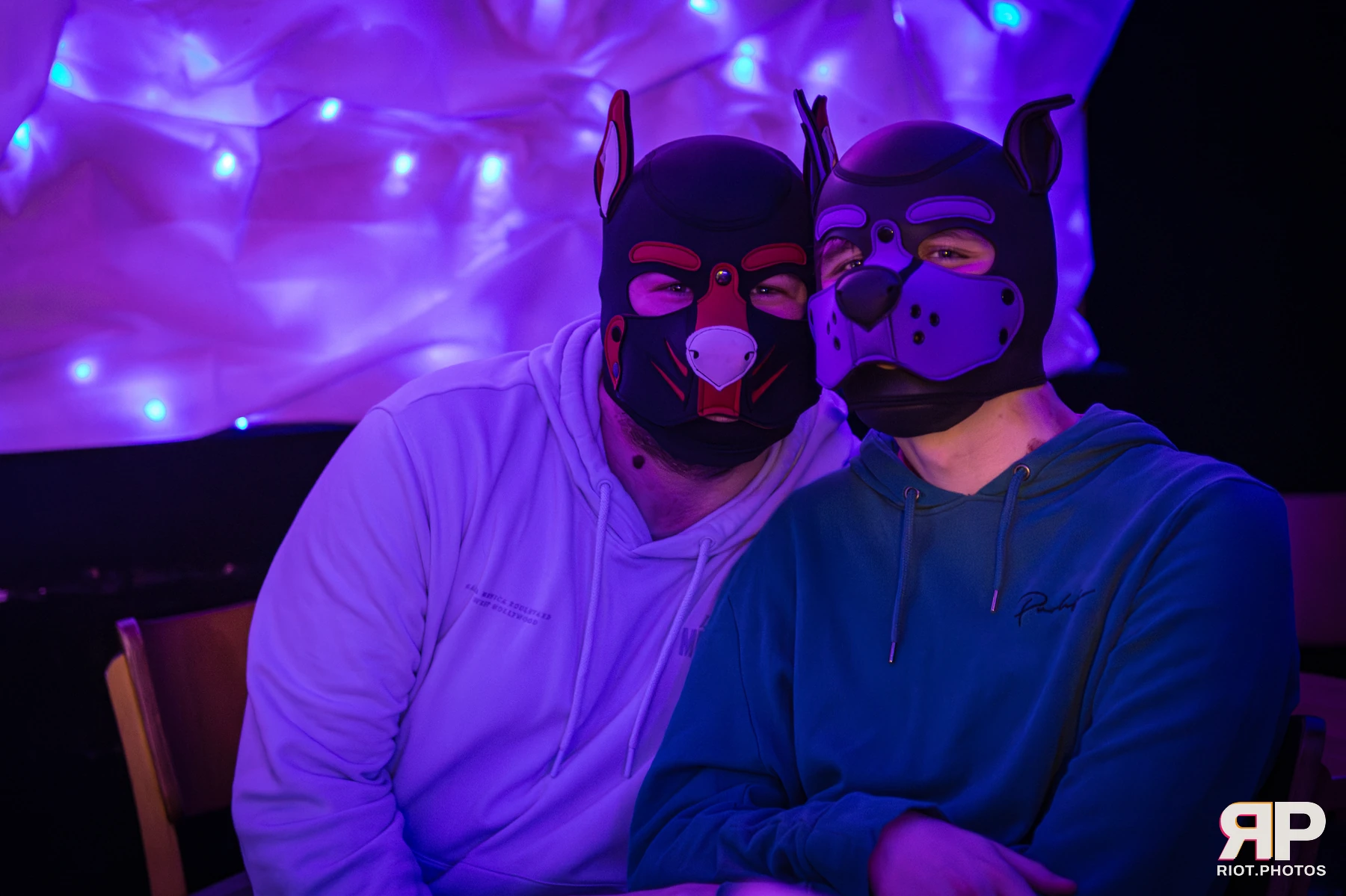 Mosaic Fox — furry & pup photography by Fluffy Riot — photo 29