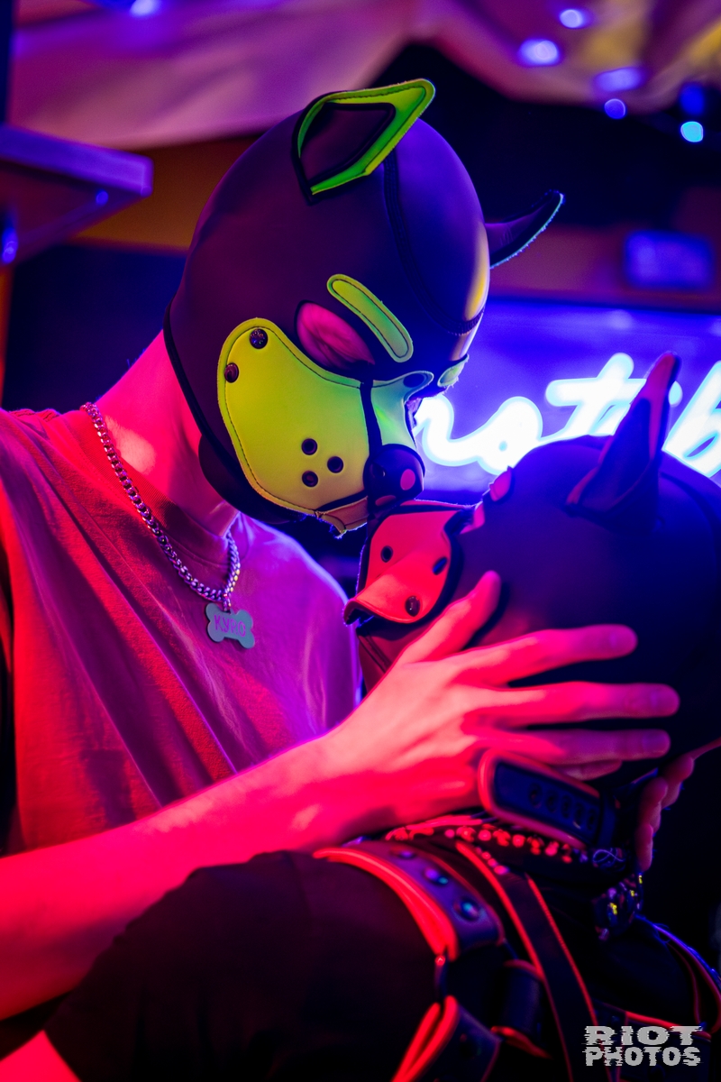 2025-12-06 KennelKlub-202512-061.jpg