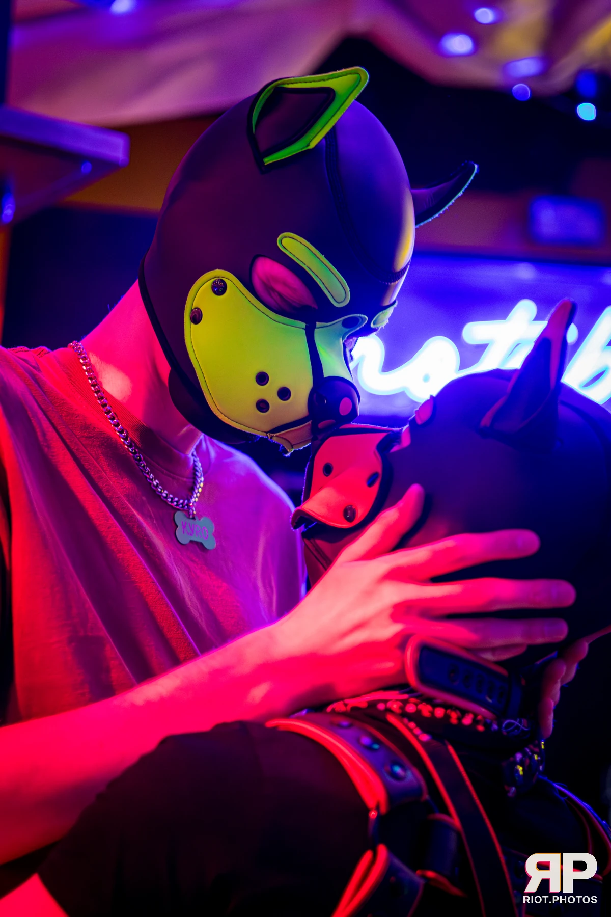 Pupper Kyro — furry & pup photography by Fluffy Riot — photo 89