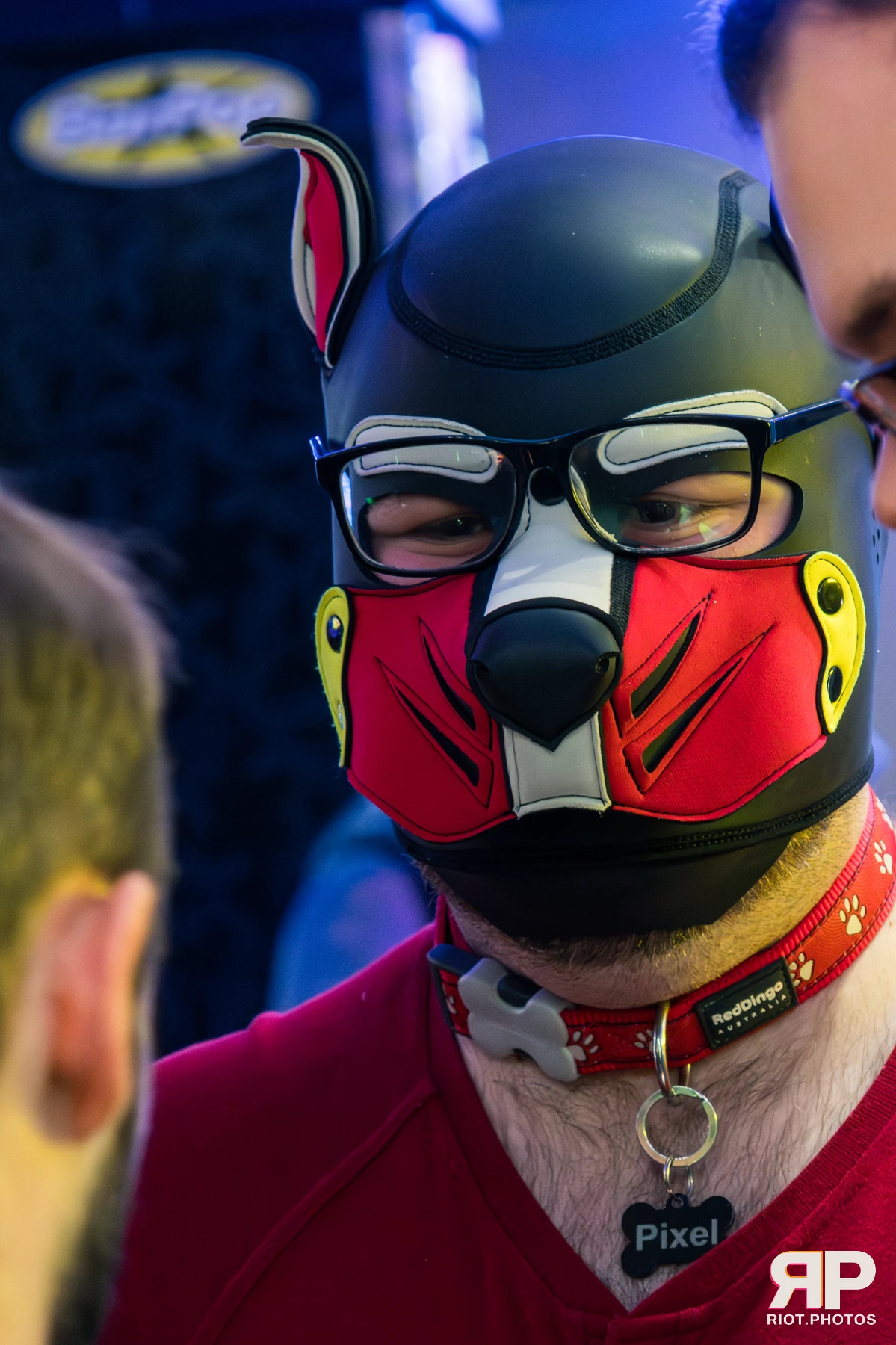 Kennel Klub - January, 2026 — 03 Jan 2026, Fluffy Riot photography — photo 4