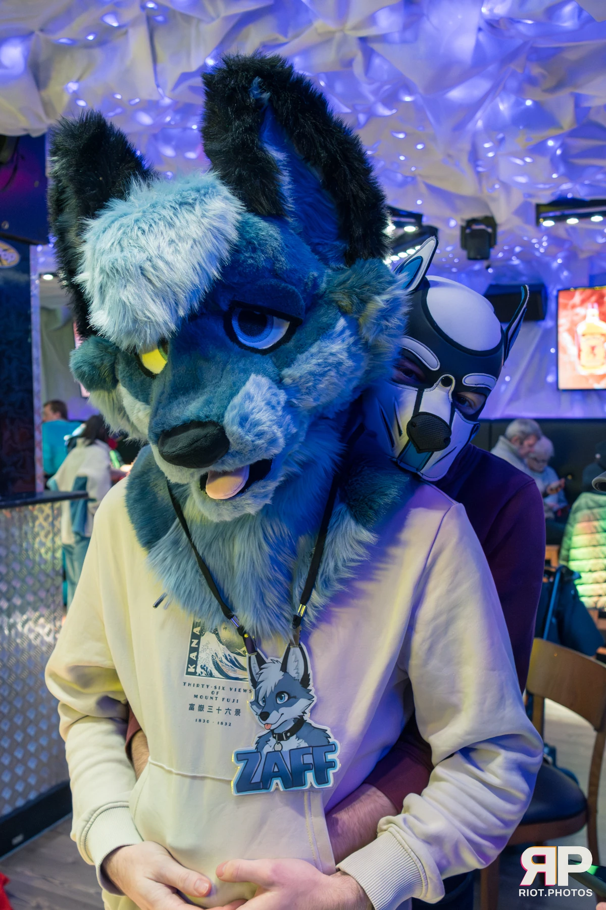 Kennel Klub - January, 2026 — 03 Jan 2026, Fluffy Riot photography — photo 12