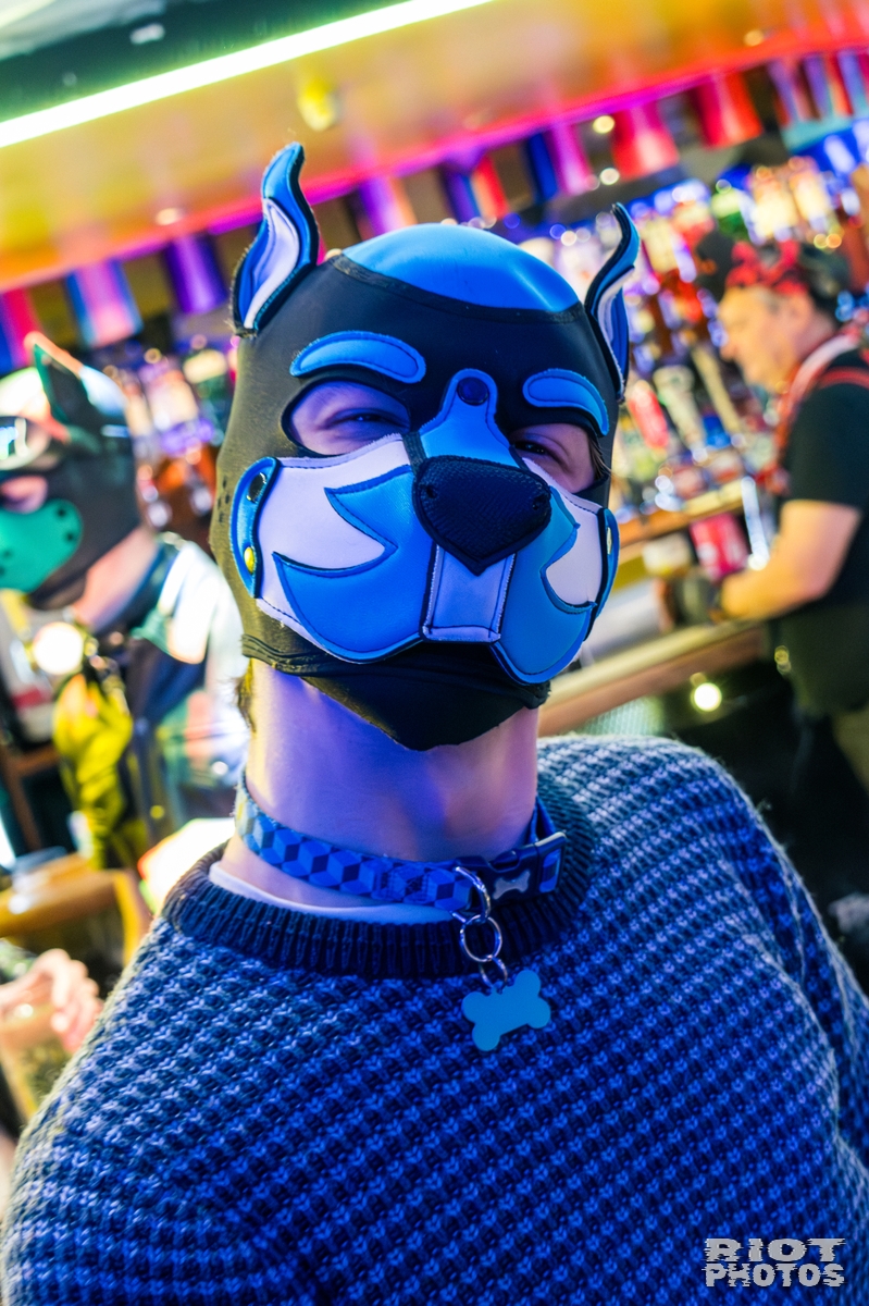 2026-01-03 KennelKlub-202601-013.jpg