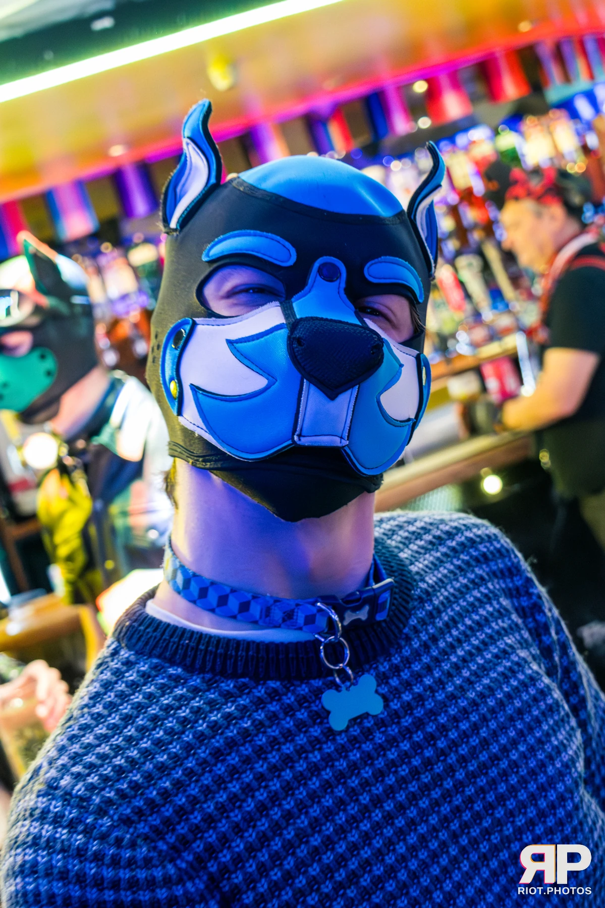 Kennel Klub - January, 2026 — 03 Jan 2026, Fluffy Riot photography — photo 13