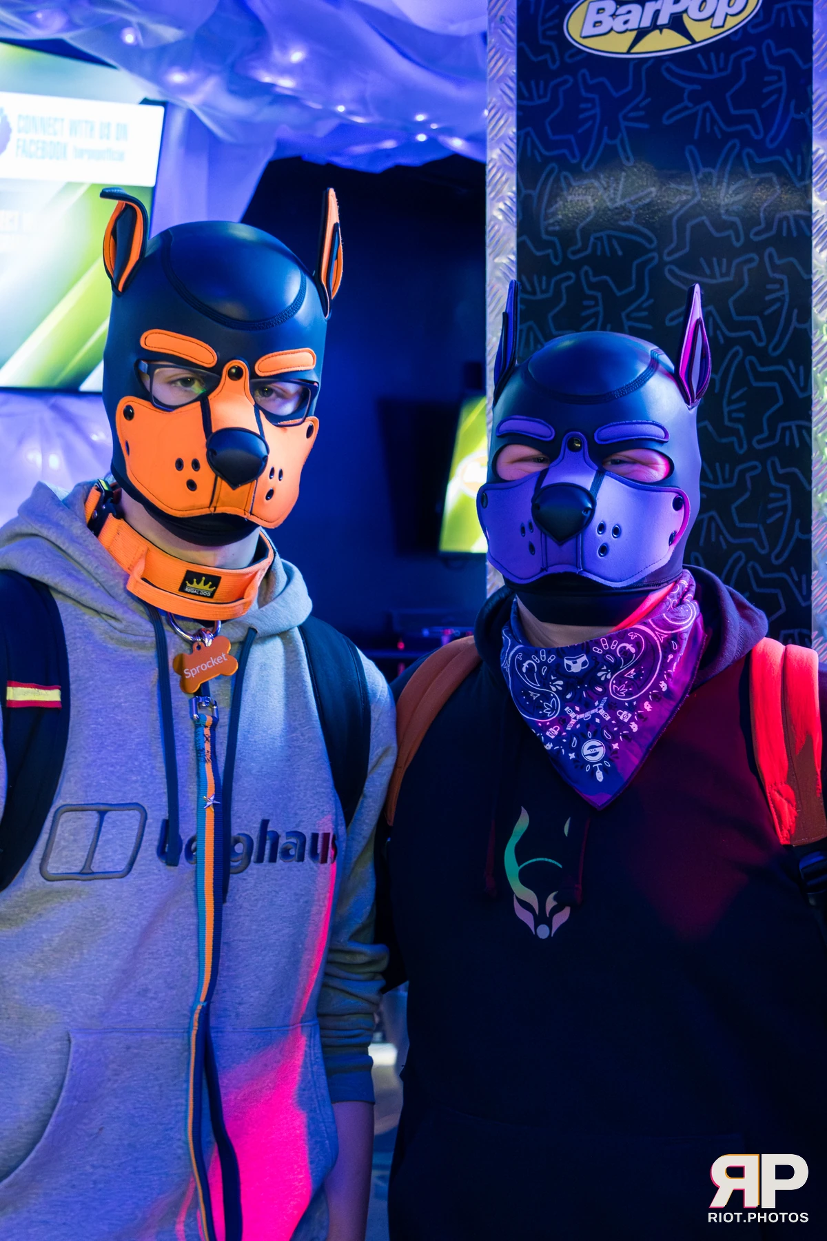 Kennel Klub - January, 2026 — 03 Jan 2026, Fluffy Riot photography — photo 15