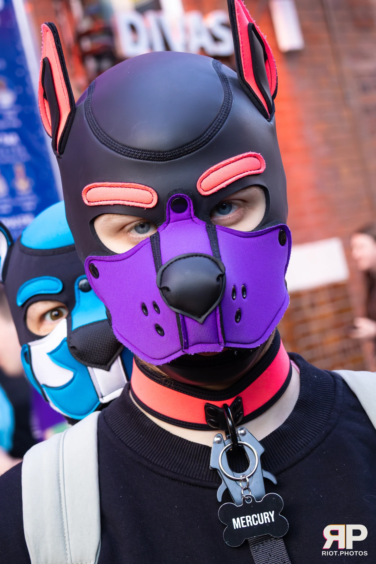 Kennel Klub - January, 2026 — 03 Jan 2026, Fluffy Riot photography — photo 19