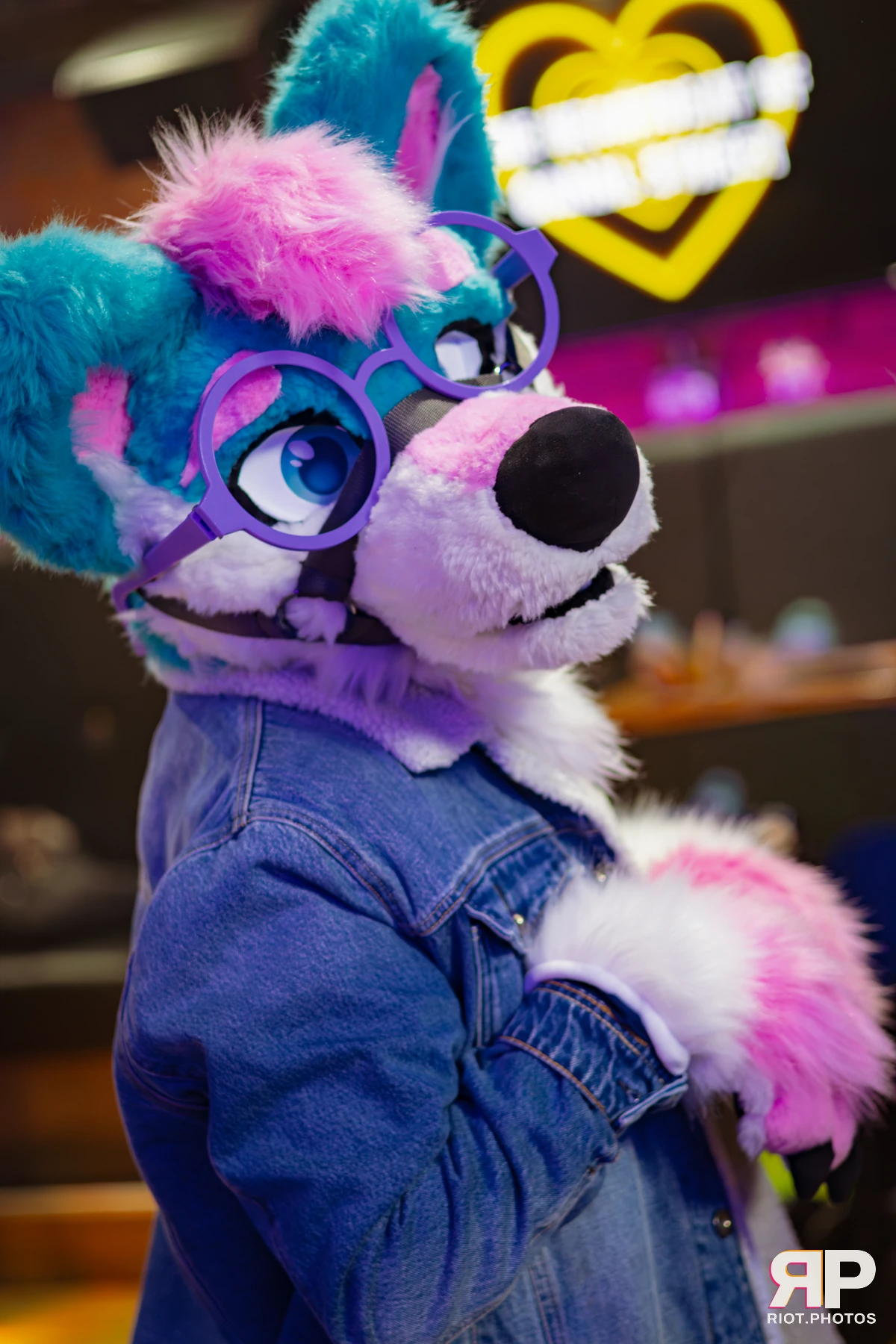 Pup Kaz — furry & pup photography by Fluffy Riot — photo 183