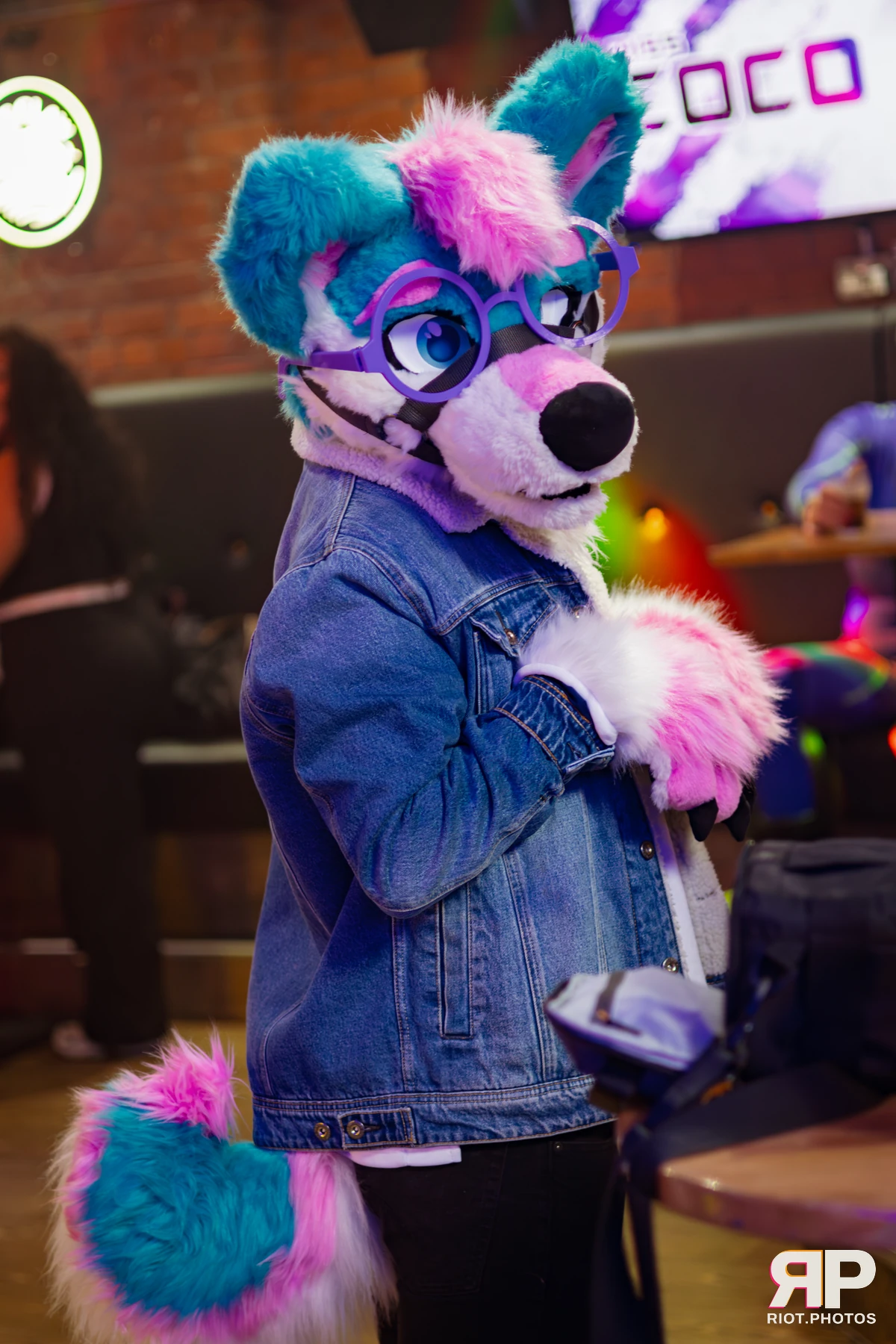 Pup Kaz — furry & pup photography by Fluffy Riot — photo 184