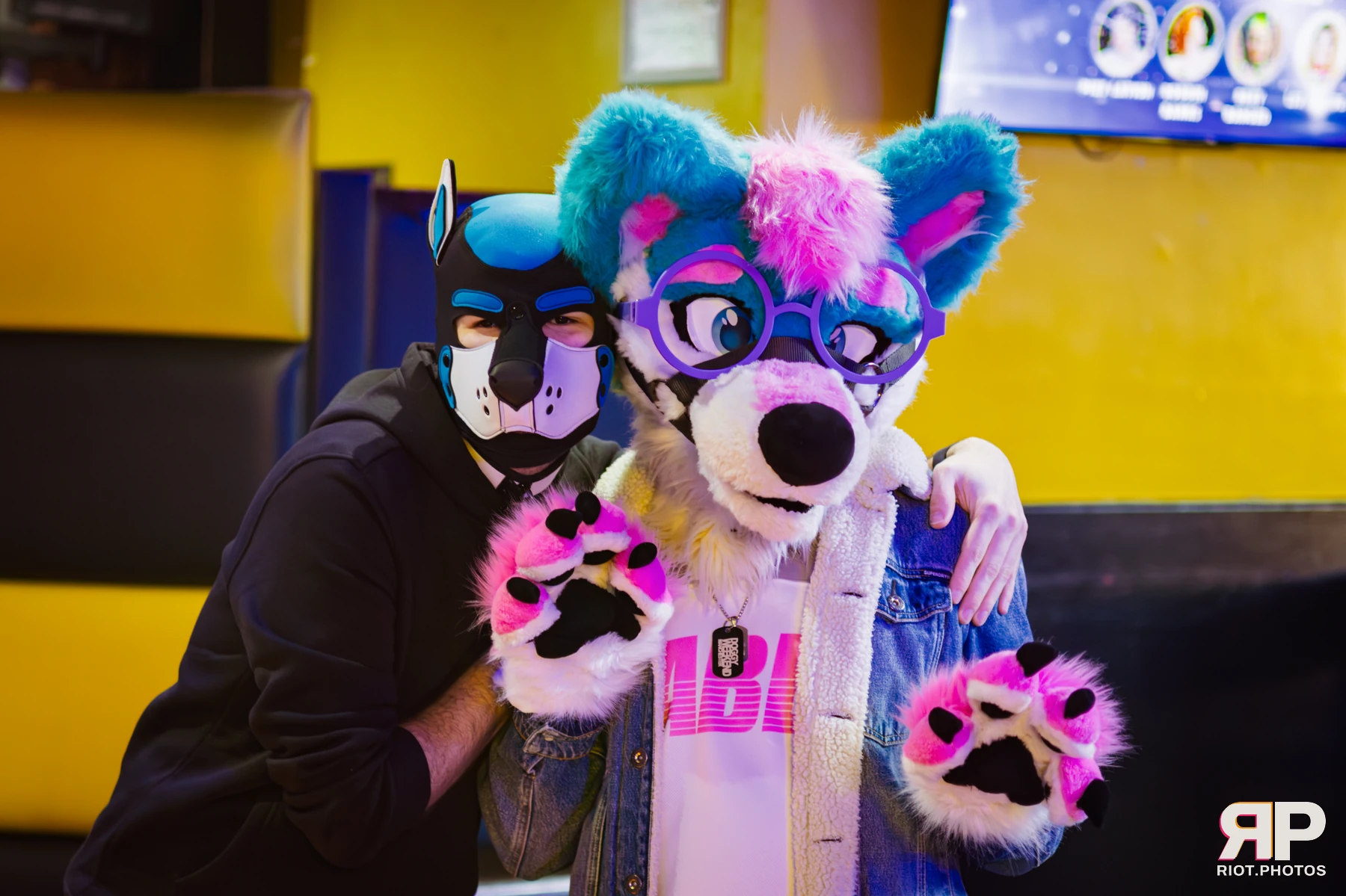 Shade — furry & pup photography by Fluffy Riot — photo 64