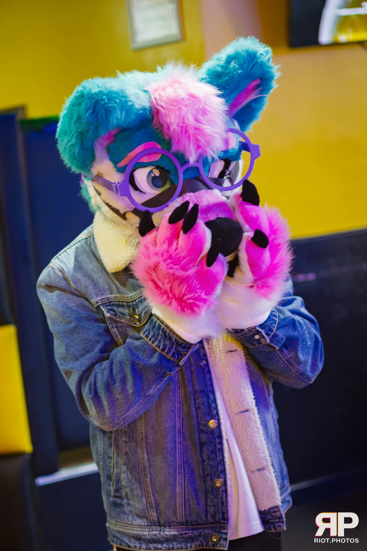 Pup Kaz — furry & pup photography by Fluffy Riot — photo 187