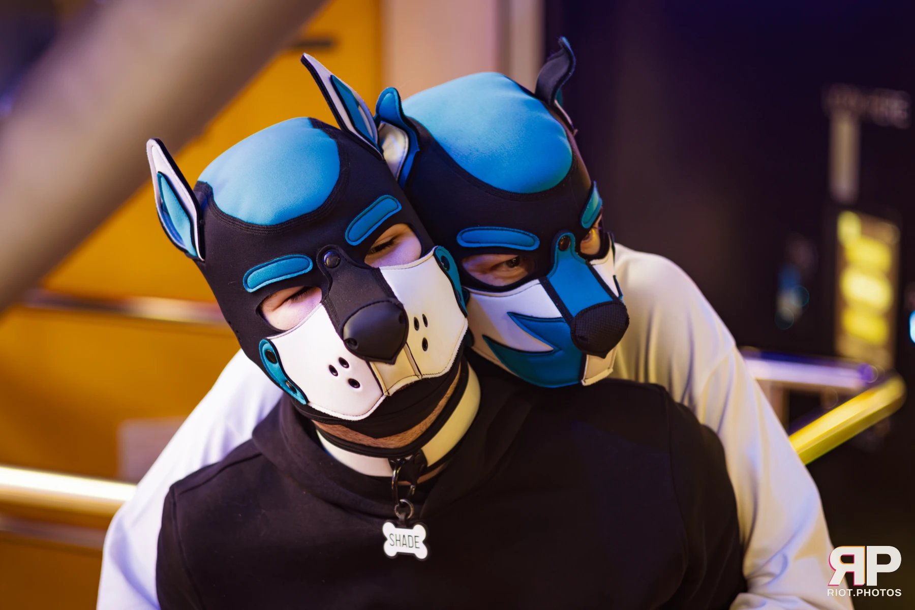 Shade — furry & pup photography by Fluffy Riot — photo 66