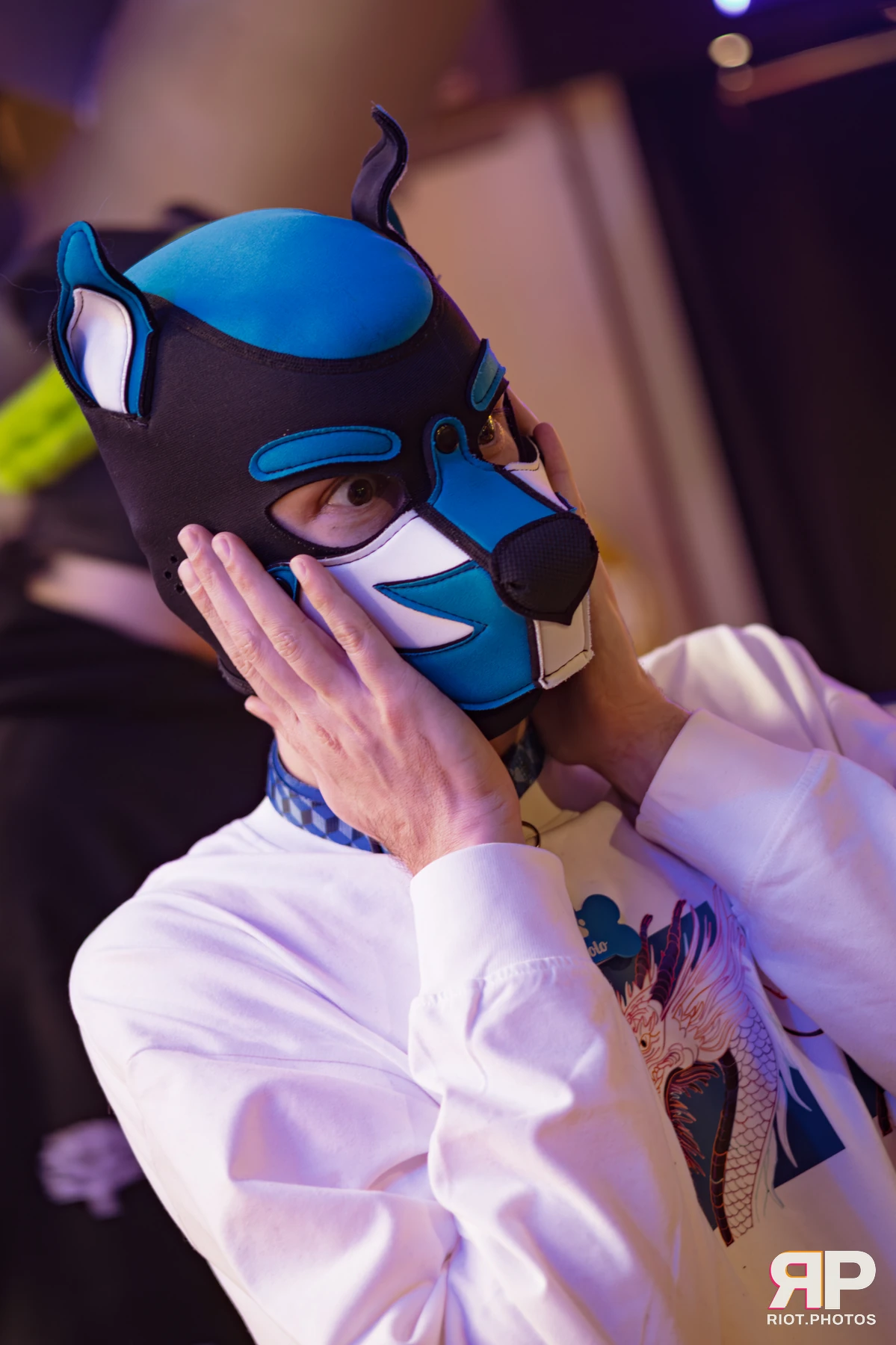 Kennel Klub - February, 2026 — 07 Feb 2026, Fluffy Riot photography — photo 8
