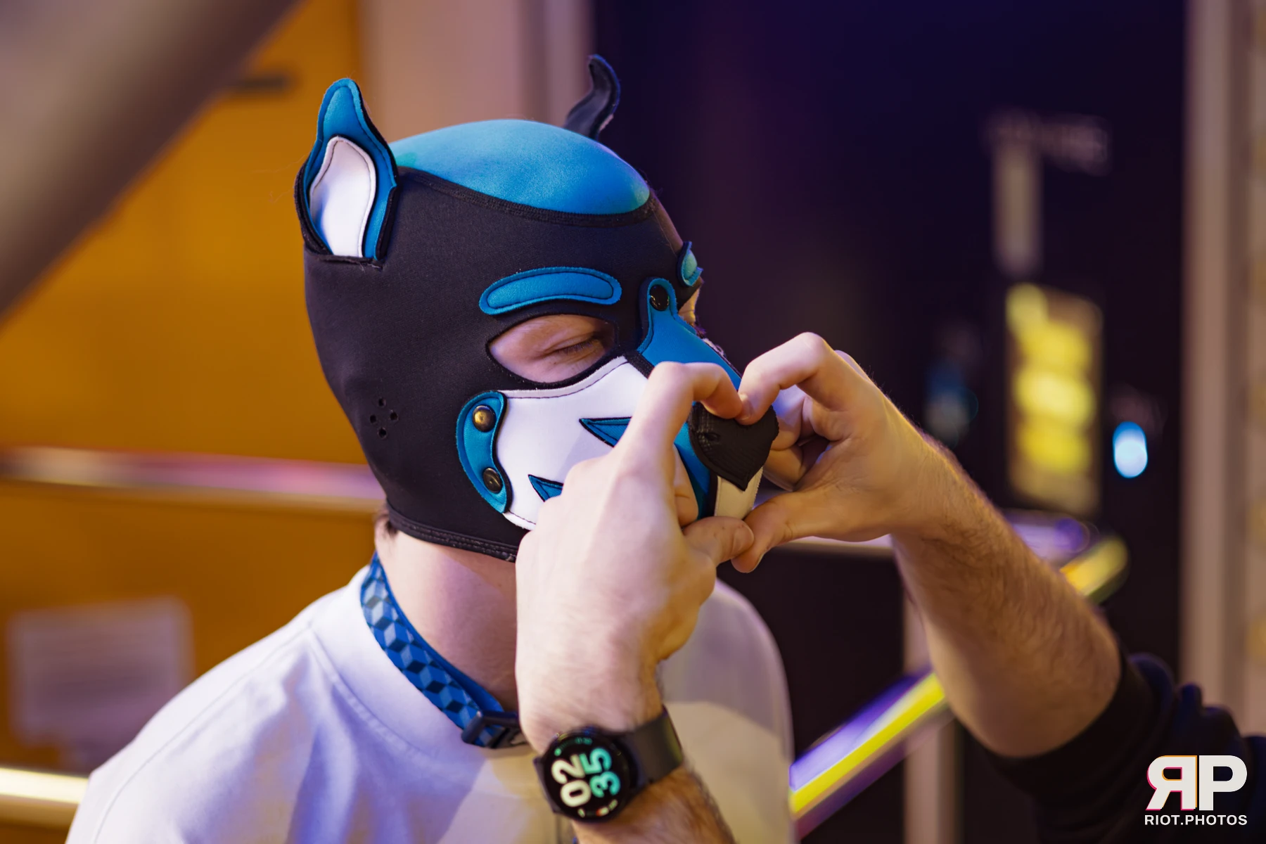 Kennel Klub - February, 2026