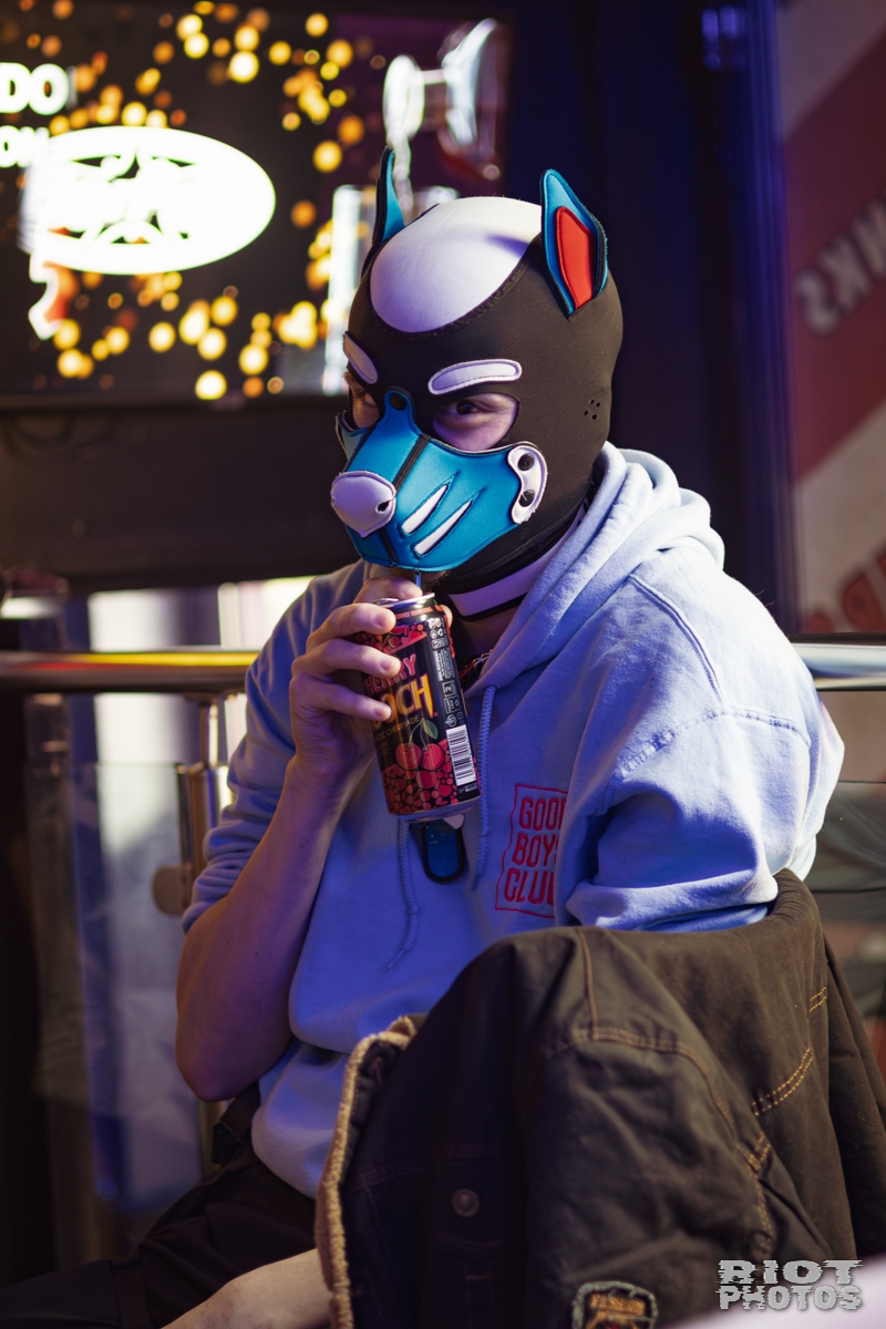 2026-02-07 KennelKlub-202602-012.jpg