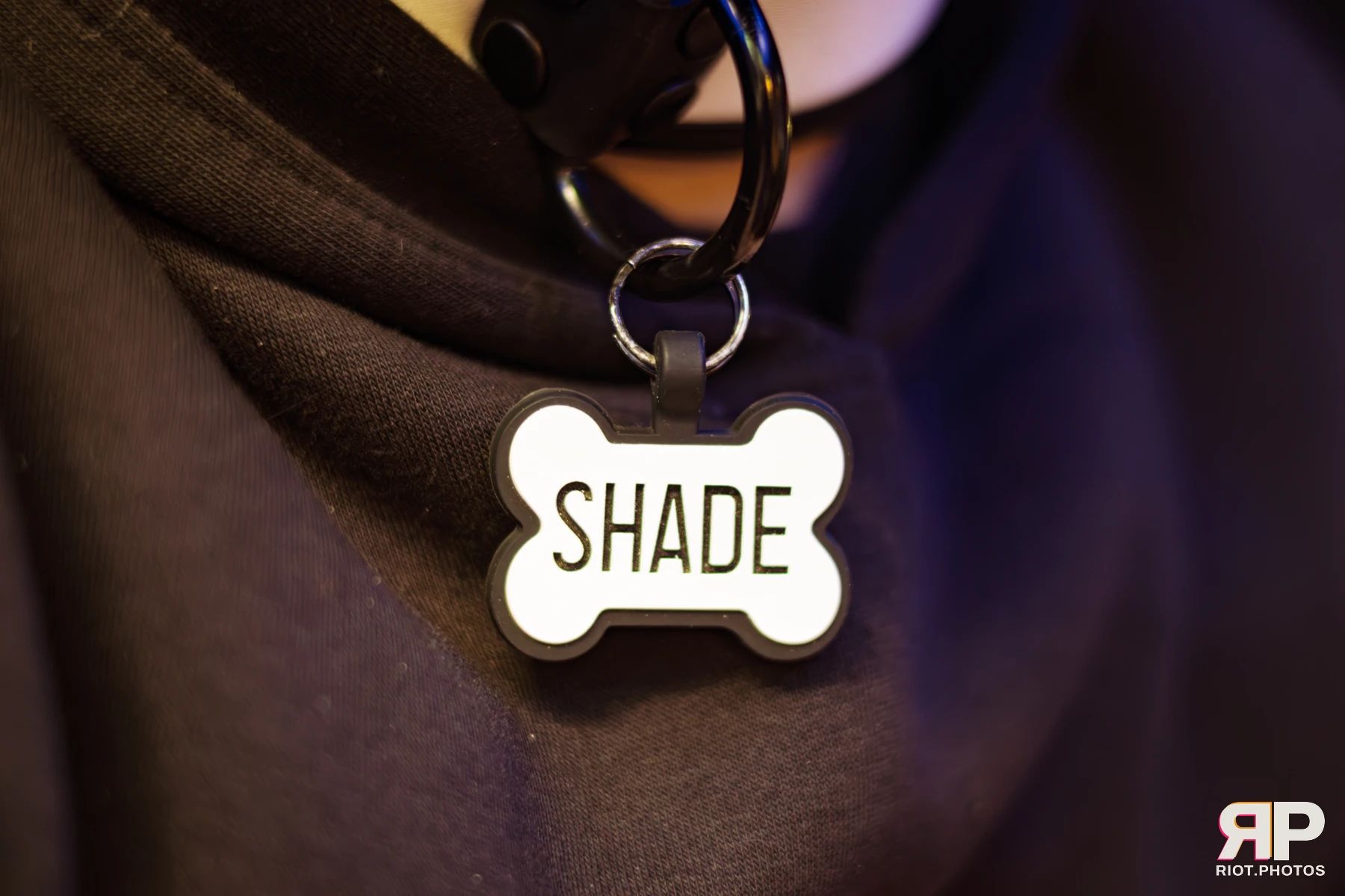 Shade — furry & pup photography by Fluffy Riot — photo 67
