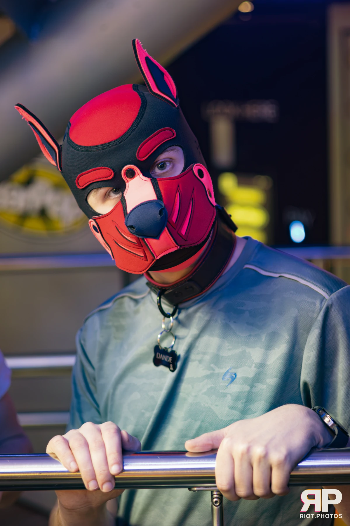 Pup Dande — furry & pup photography by Fluffy Riot — photo 30