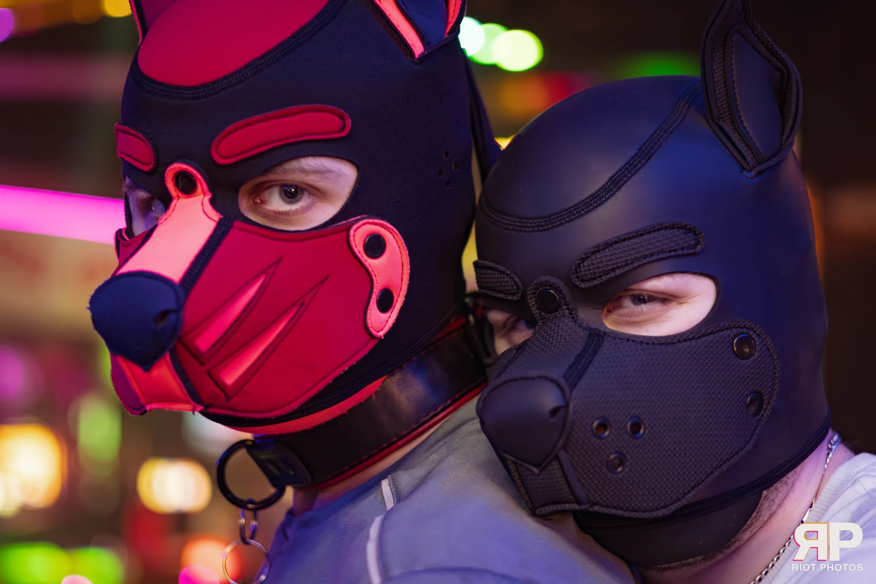 Pup Dande — furry & pup photography by Fluffy Riot — photo 31