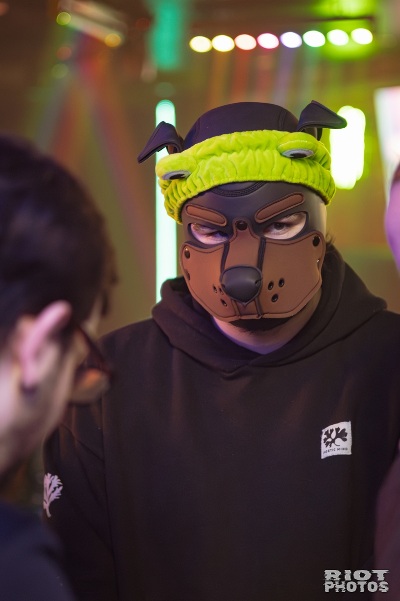 2026-02-07 KennelKlub-202602-023.jpg