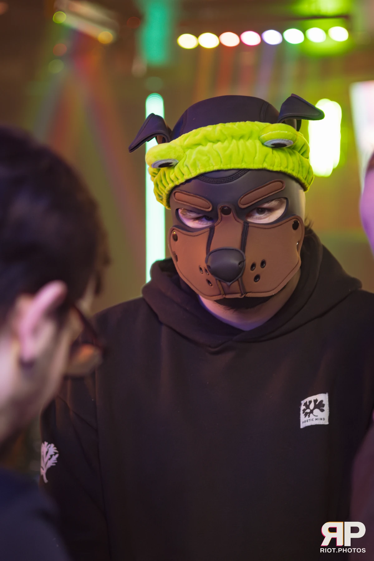 Kennel Klub - February, 2026 — 07 Feb 2026, Fluffy Riot photography — photo 23