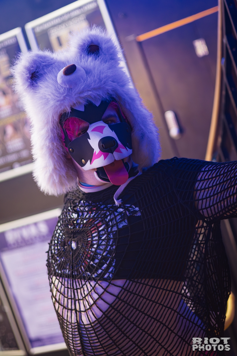 2026-02-07 KennelKlub-202602-026.jpg