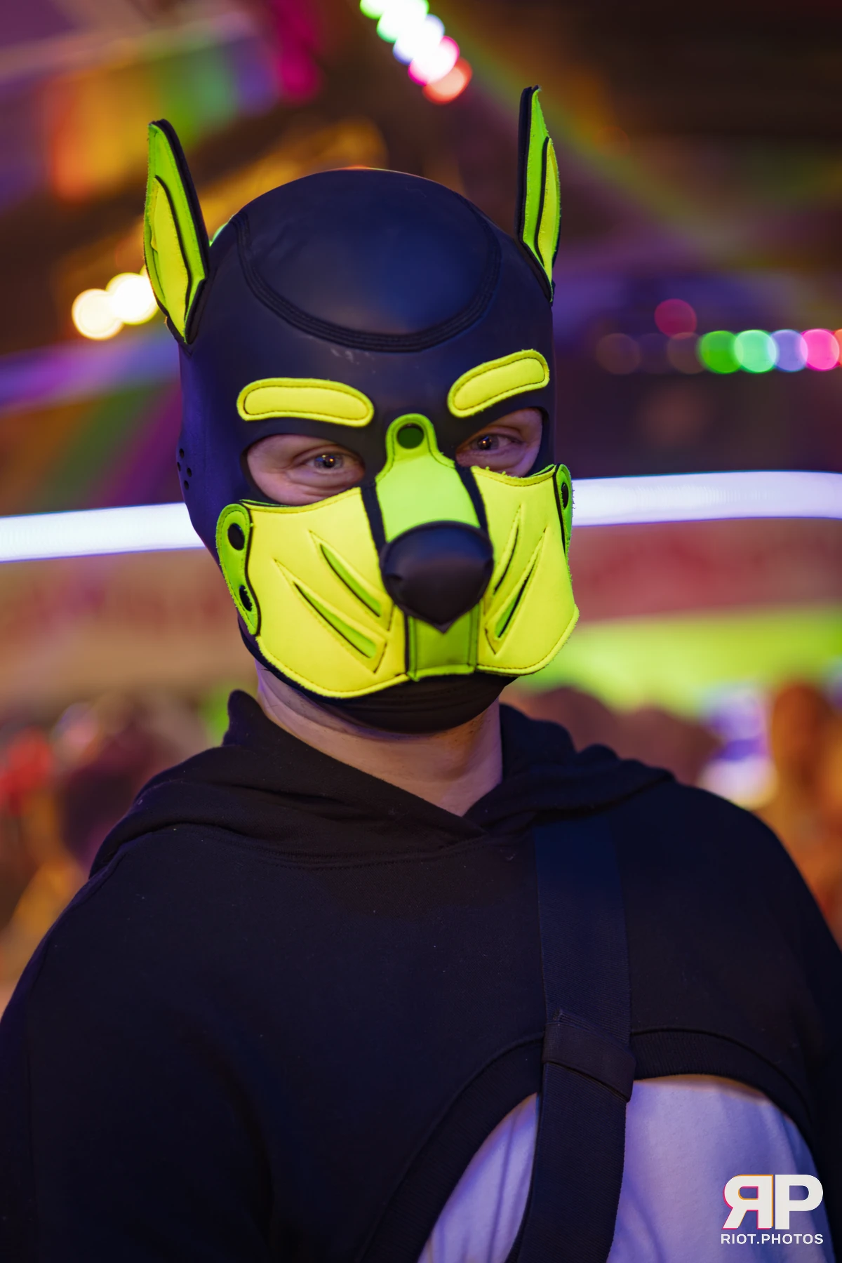 Kennel Klub - February, 2026 — 07 Feb 2026, Fluffy Riot photography — photo 29