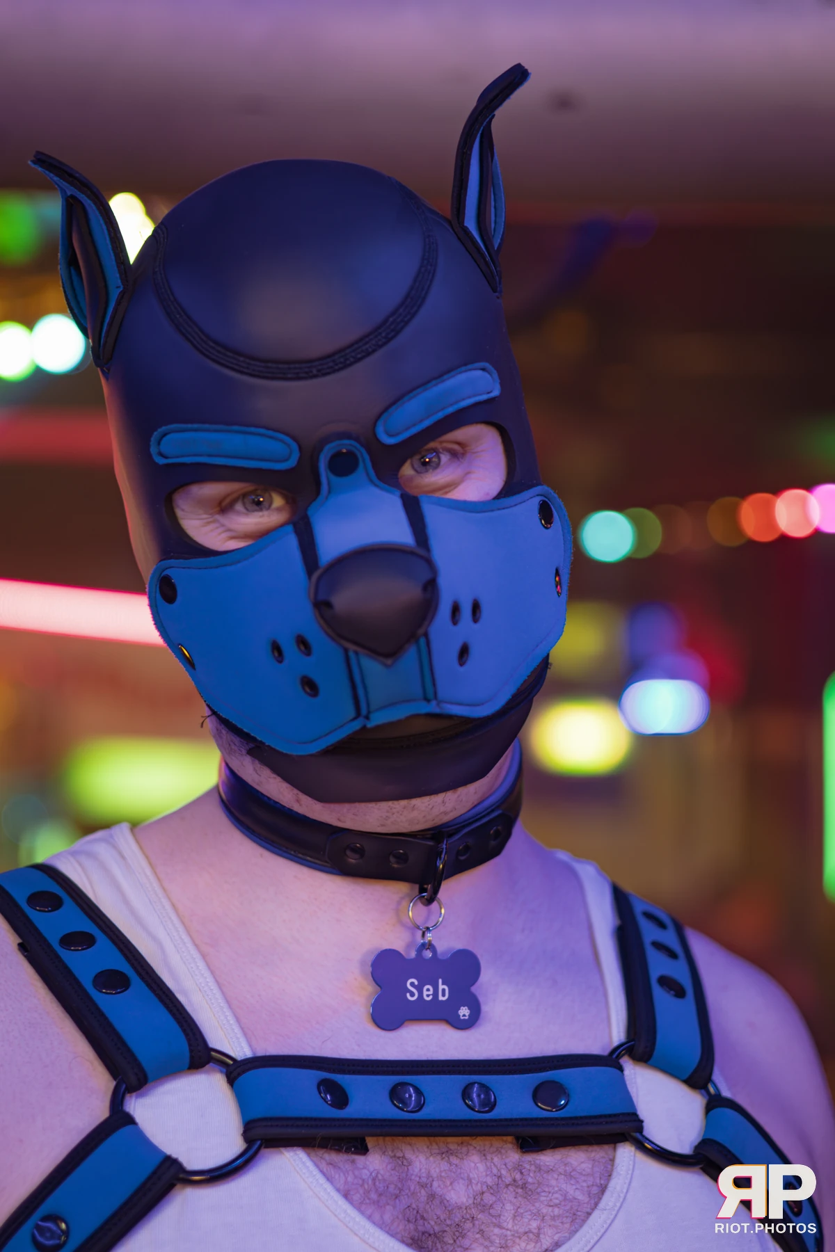 Kennel Klub - February, 2026 — 07 Feb 2026, Fluffy Riot photography — photo 30