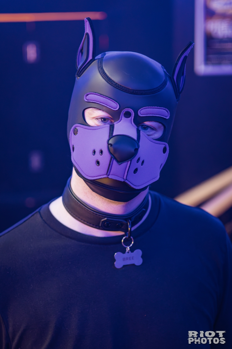 2026-02-07 KennelKlub-202602-034.jpg