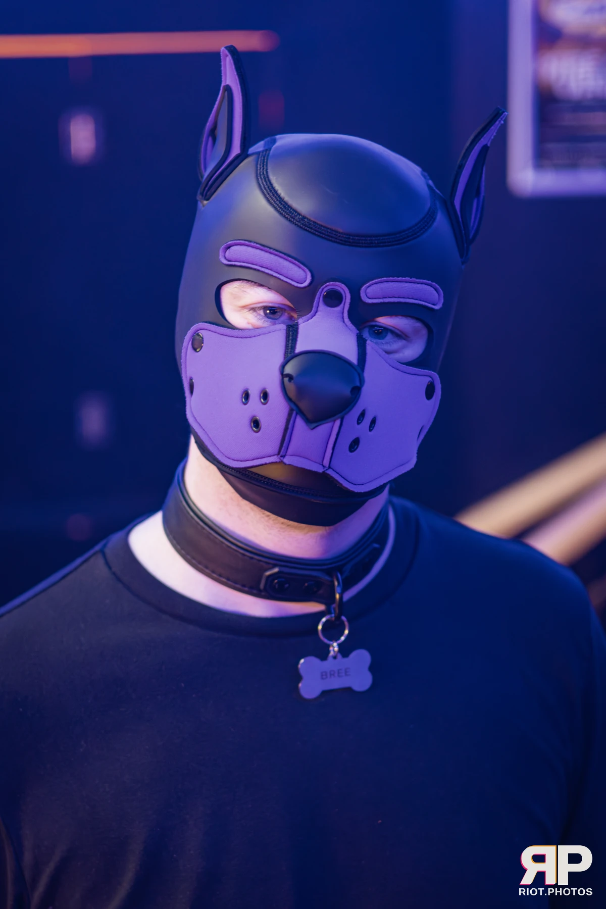 Kennel Klub - February, 2026 — 07 Feb 2026, Fluffy Riot photography — photo 34