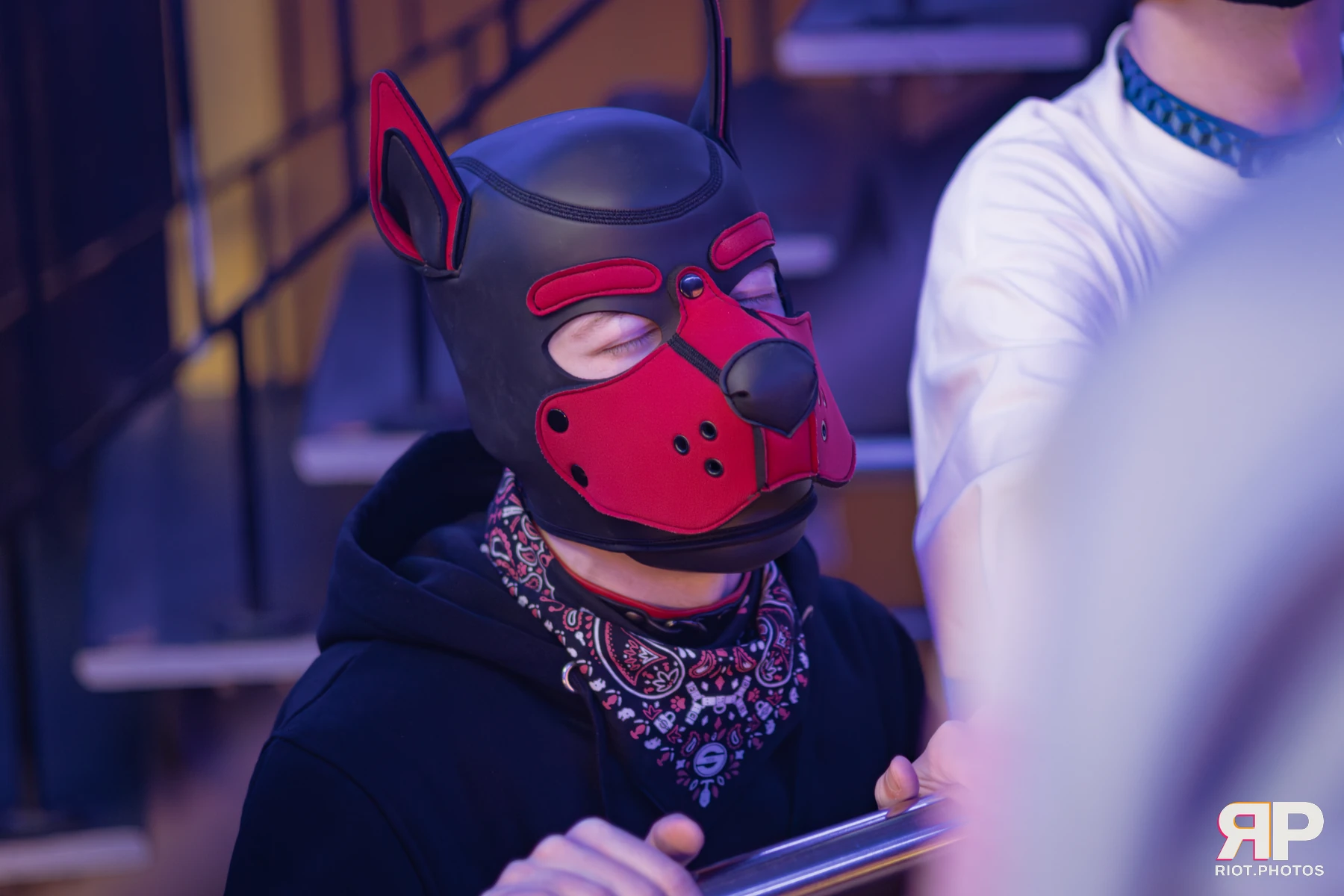 Hagen Hyena — furry & pup photography by Fluffy Riot — photo 5