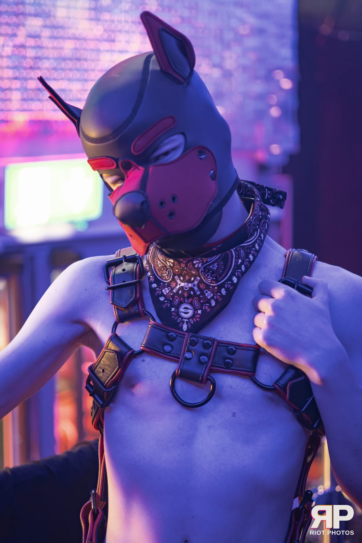Hagen Hyena — furry & pup photography by Fluffy Riot — photo 6