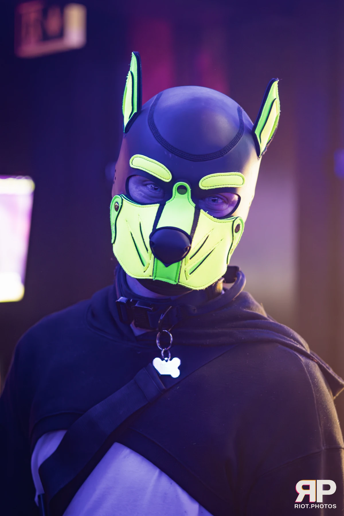 Kennel Klub - February, 2026 — 07 Feb 2026, Fluffy Riot photography — photo 41