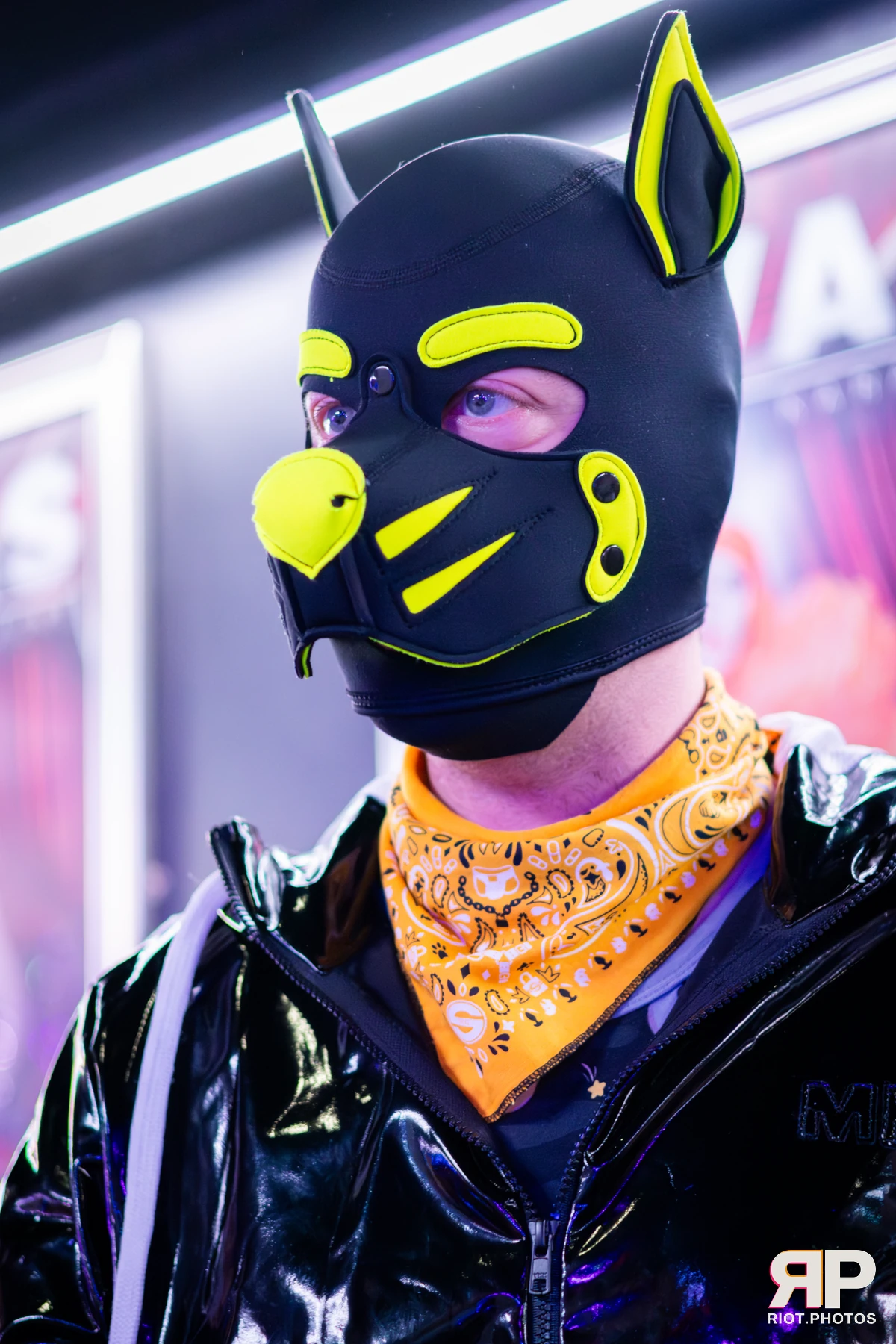 Kennel Klub - March, 2026 — 07 Mar 2026, Fluffy Riot photography — photo 2