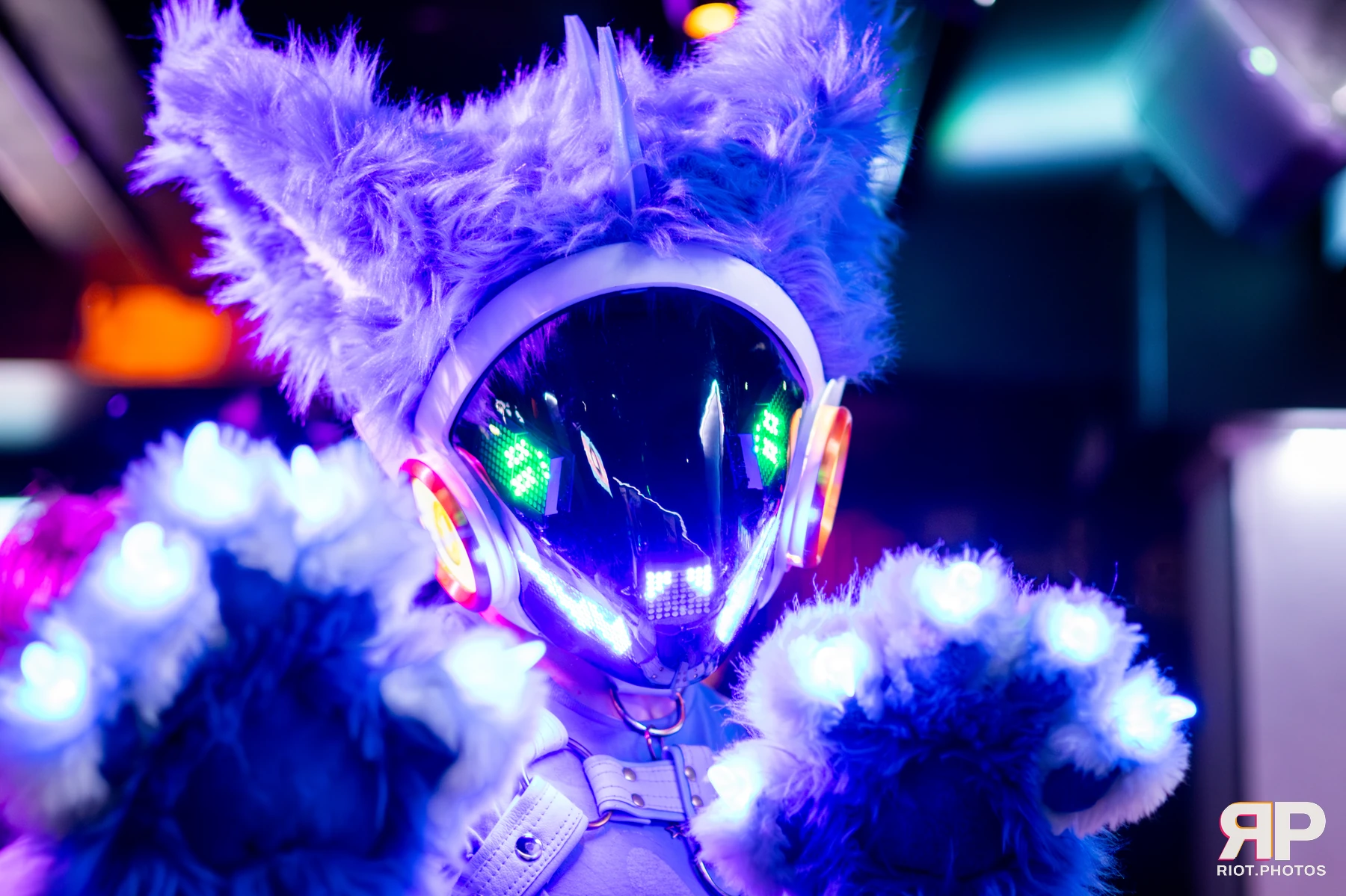 Kennel Klub - March, 2026 — 07 Mar 2026, Fluffy Riot photography — photo 4