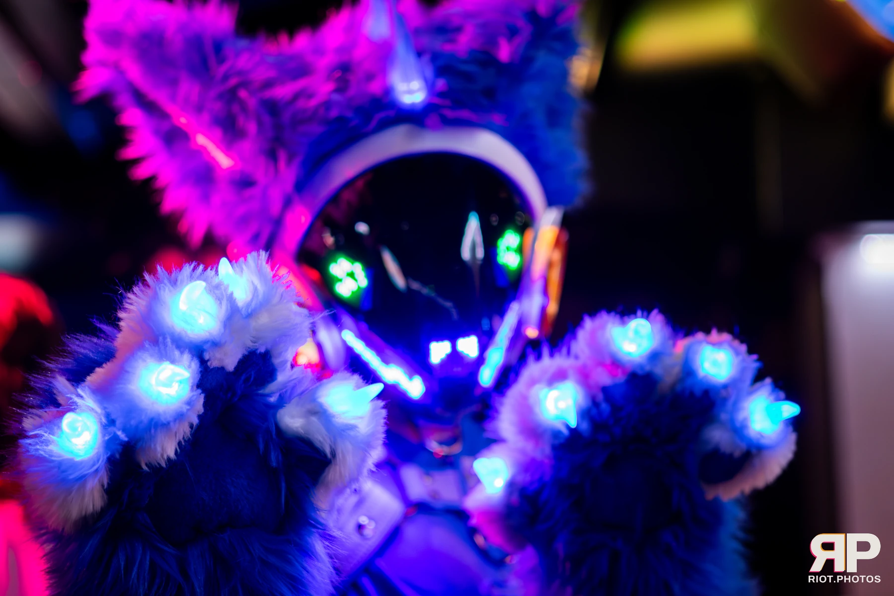 Kennel Klub - March, 2026 — 07 Mar 2026, Fluffy Riot photography — photo 5