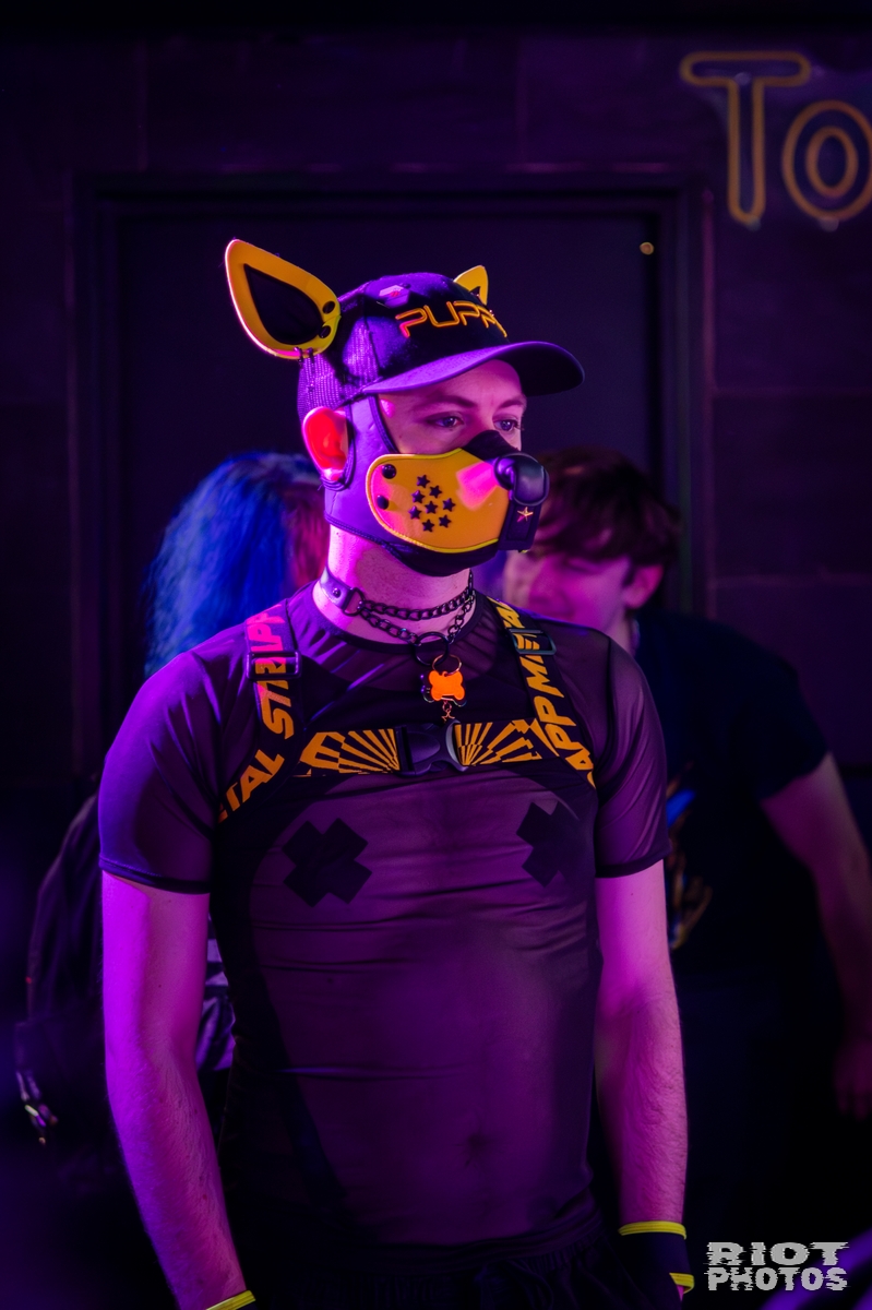 2026-03-07 KennelKlub-202603-008.jpg