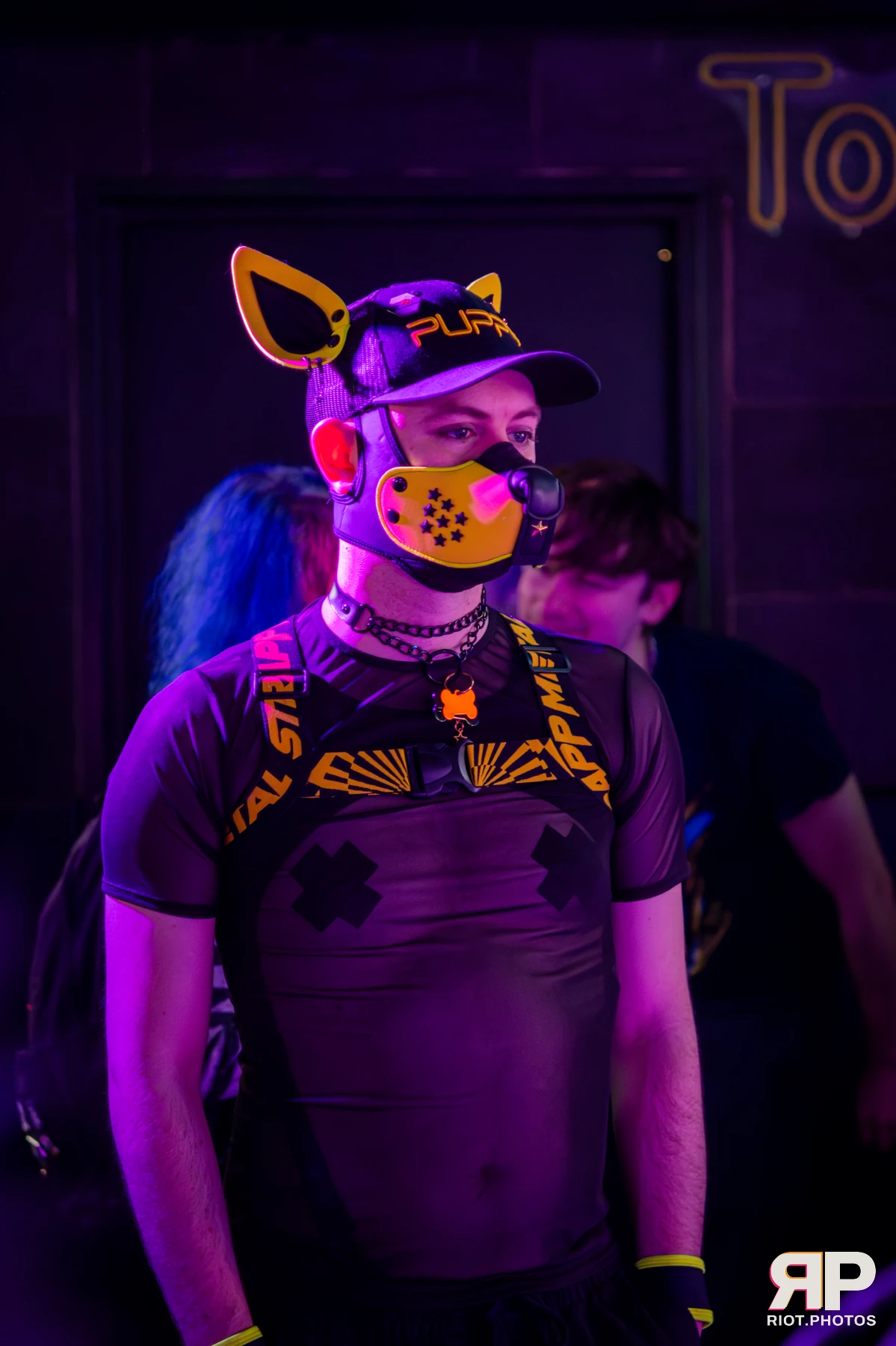 Comet Fyre — furry & pup photography by Fluffy Riot — photo 1