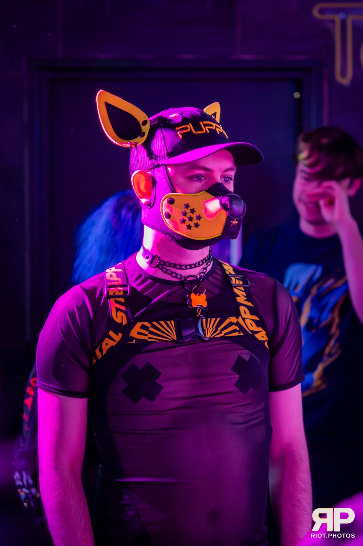 Comet Fyre — furry & pup photography by Fluffy Riot — photo 2