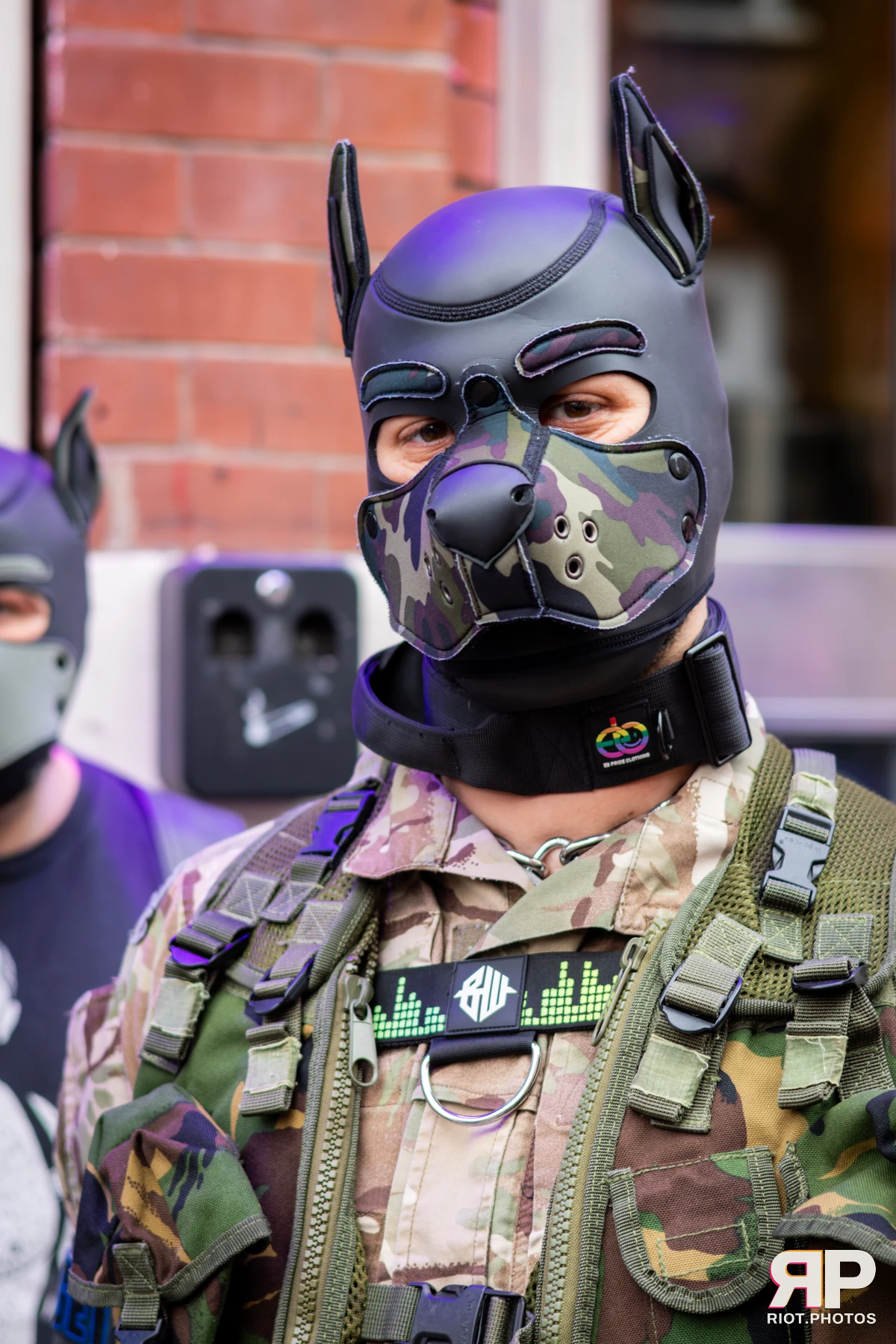 Kennel Klub - March, 2026 — 07 Mar 2026, Fluffy Riot photography — photo 13