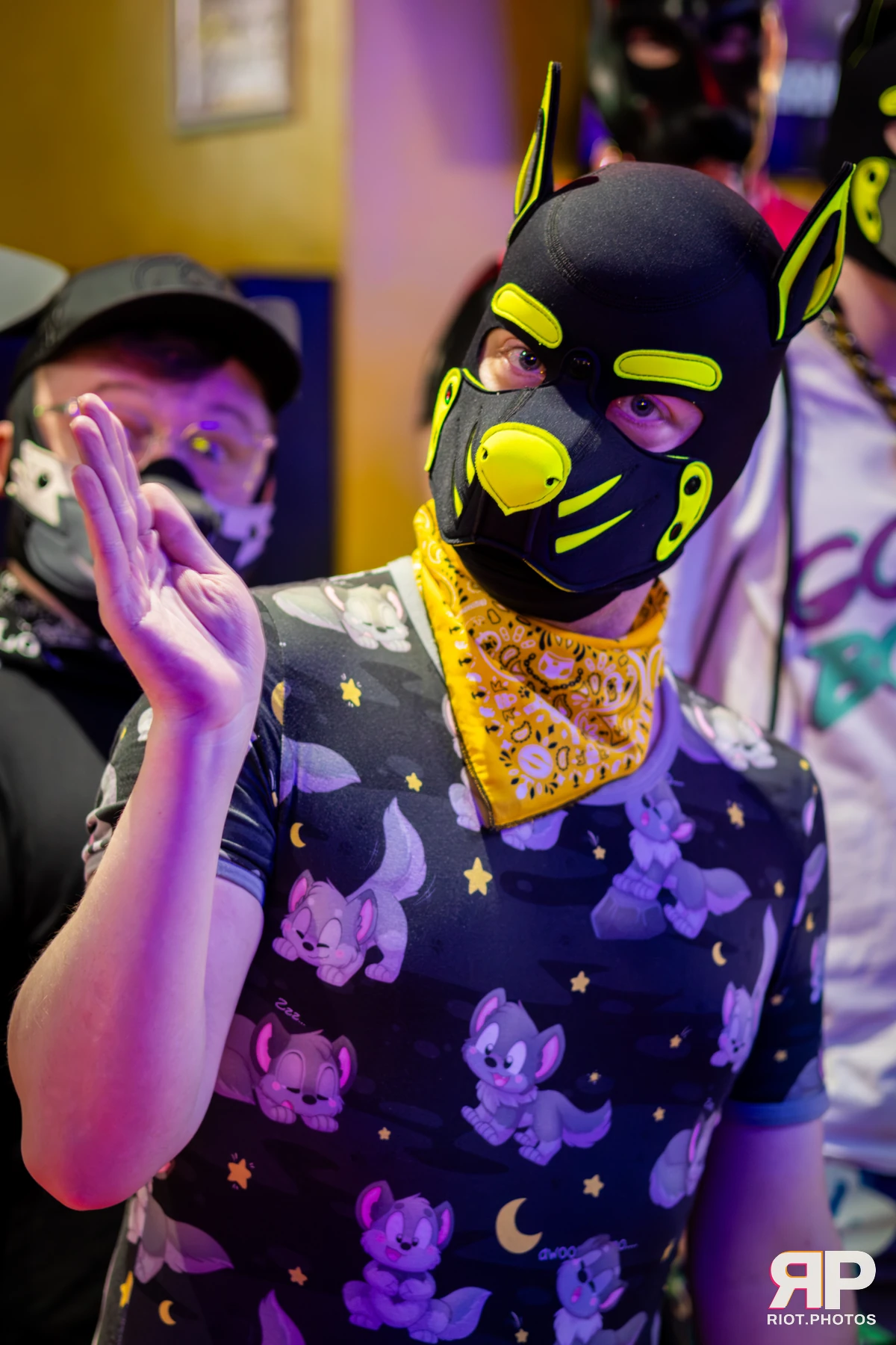 Kennel Klub - March, 2026 — 07 Mar 2026, Fluffy Riot photography — photo 14