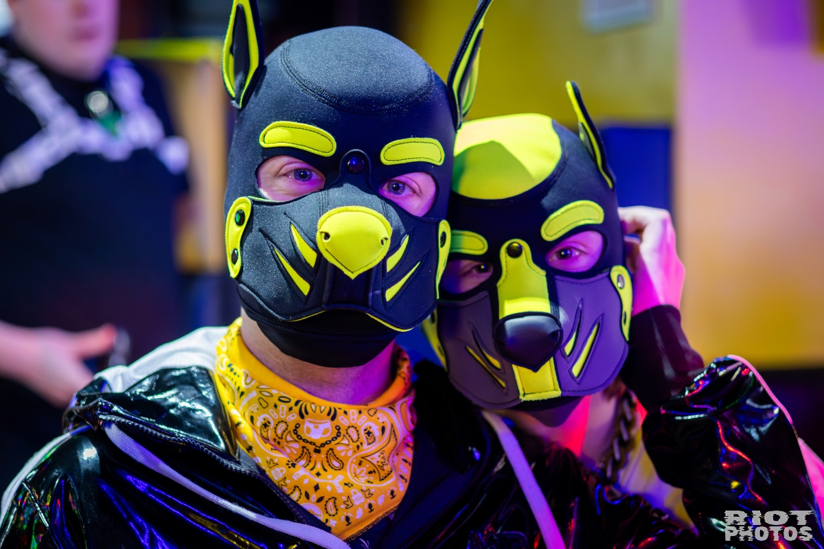 2026-03-07 KennelKlub-202603-017.jpg