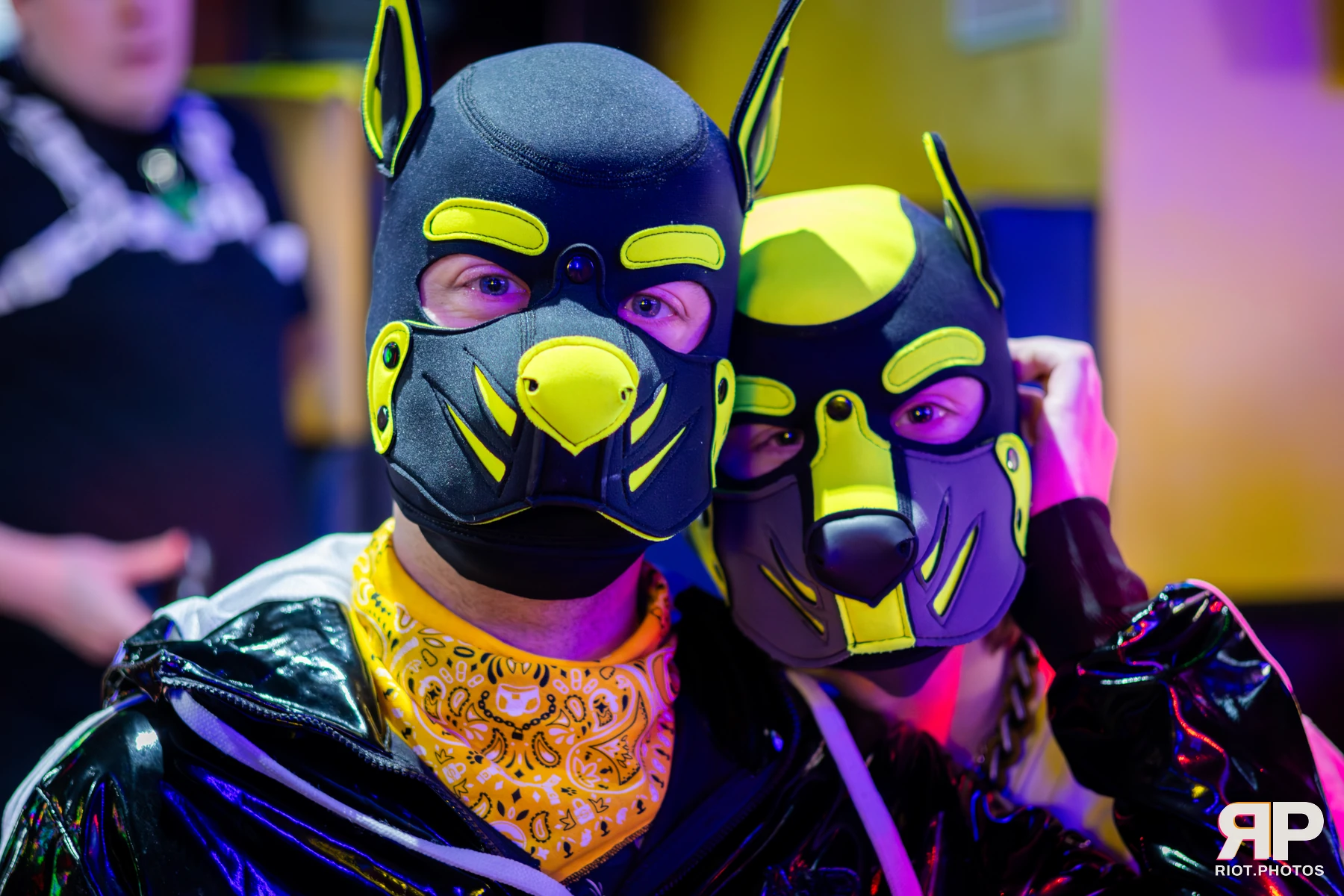 Artie — furry & pup photography by Fluffy Riot — photo 7