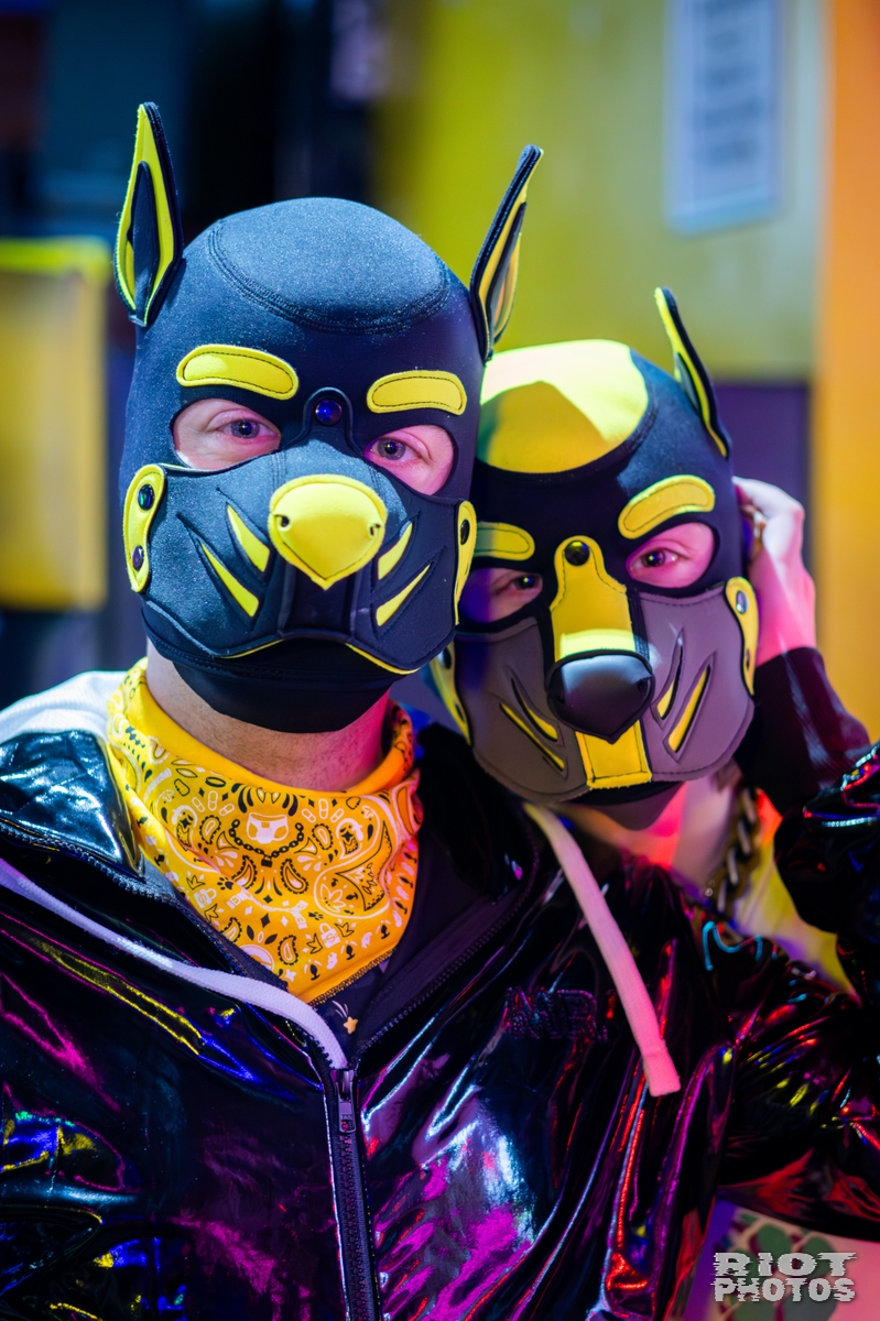 2026-03-07 KennelKlub-202603-018.jpg