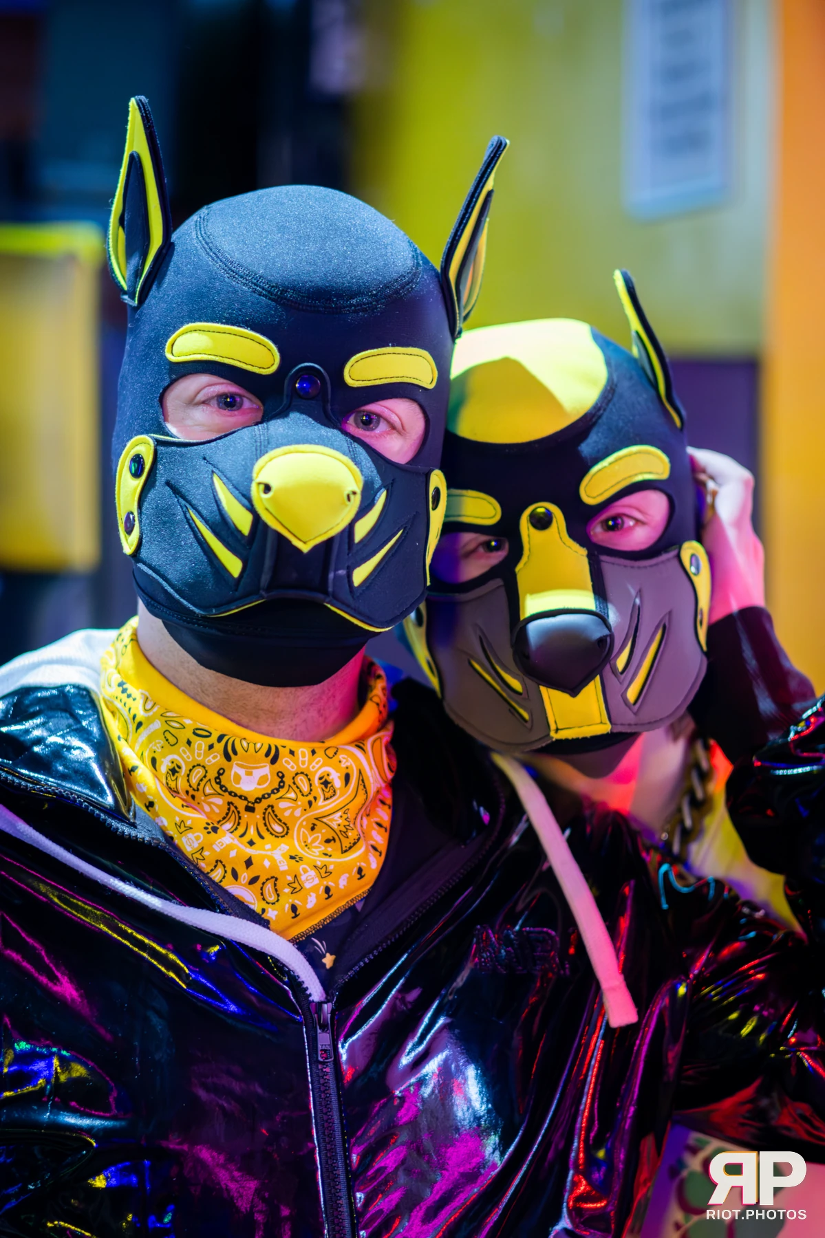 Artie — furry & pup photography by Fluffy Riot — photo 8