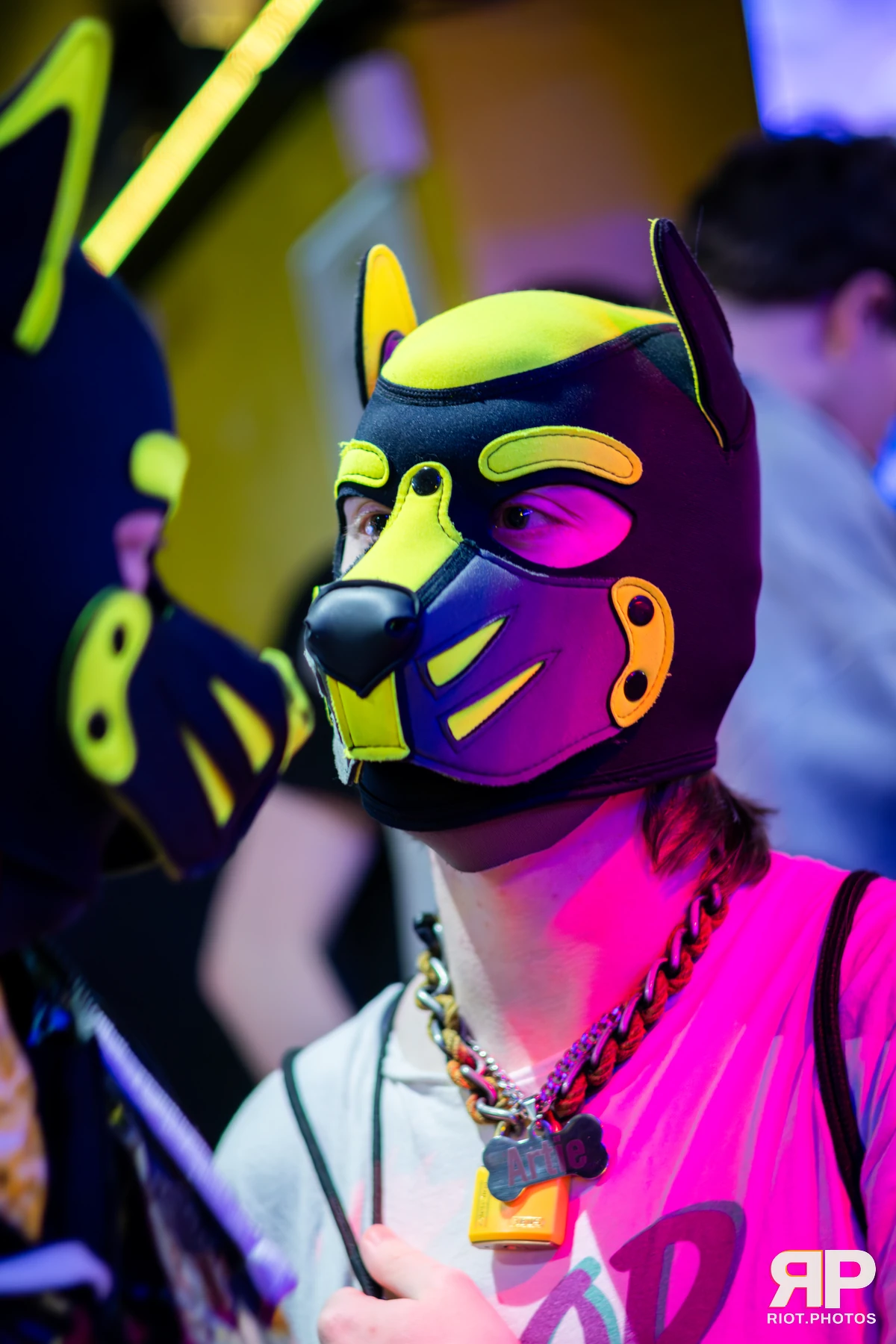 Artie — furry & pup photography by Fluffy Riot — photo 10