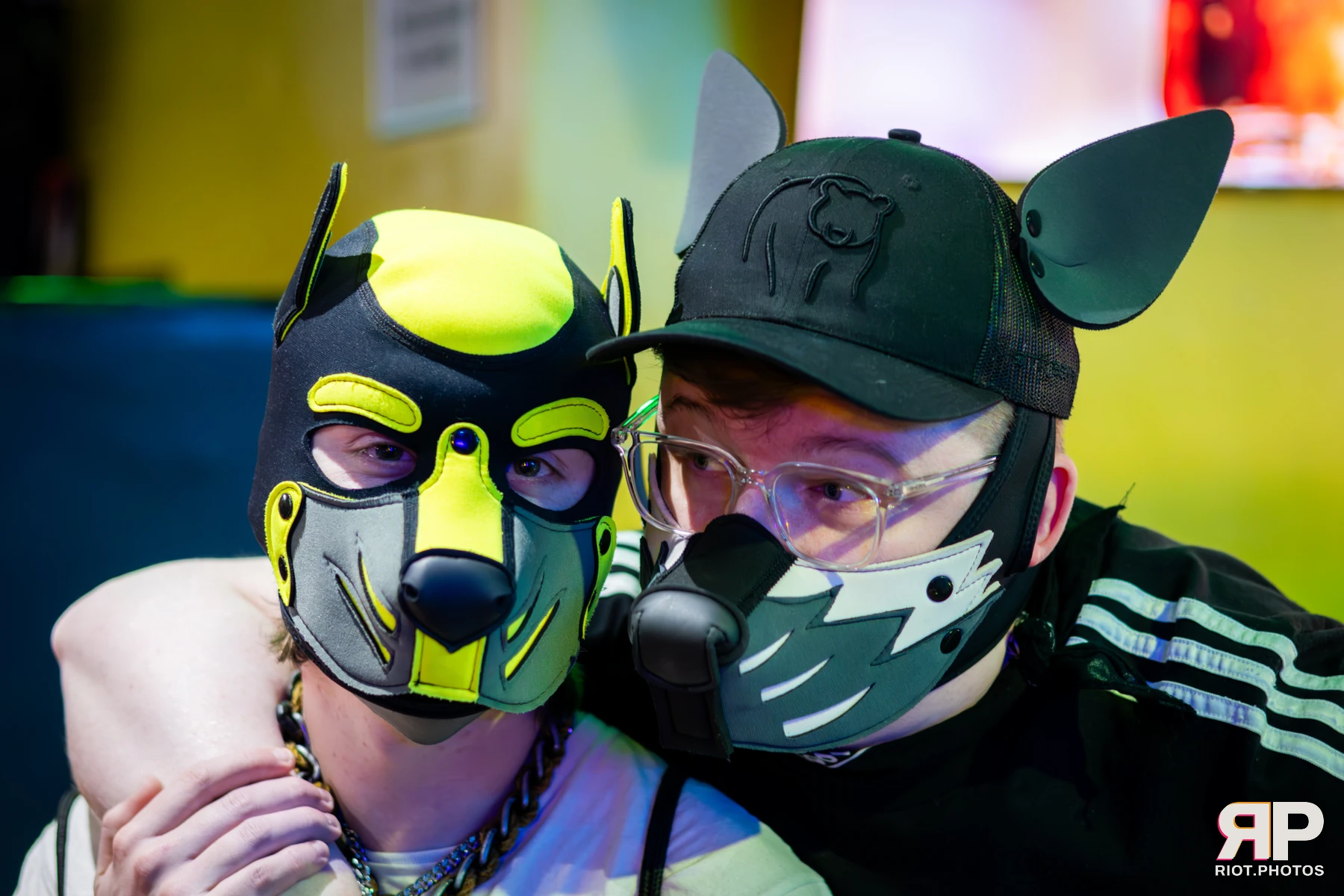 Artie — furry & pup photography by Fluffy Riot — photo 11