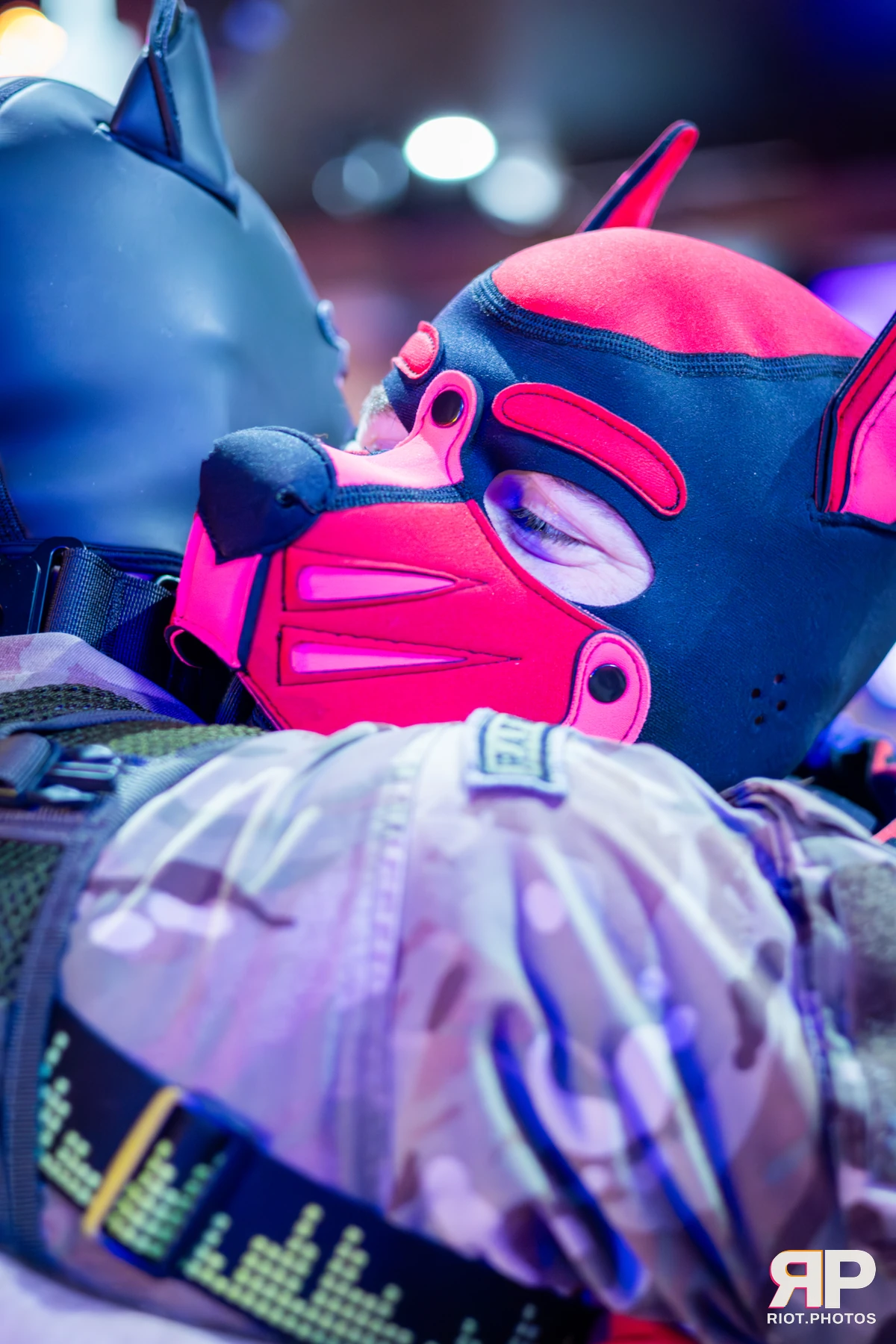 Kennel Klub - March, 2026 — 07 Mar 2026, Fluffy Riot photography — photo 24