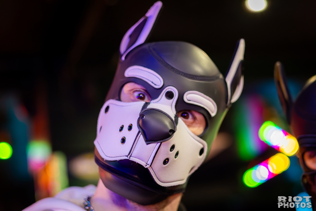 2026-03-07 KennelKlub-202603-026.jpg