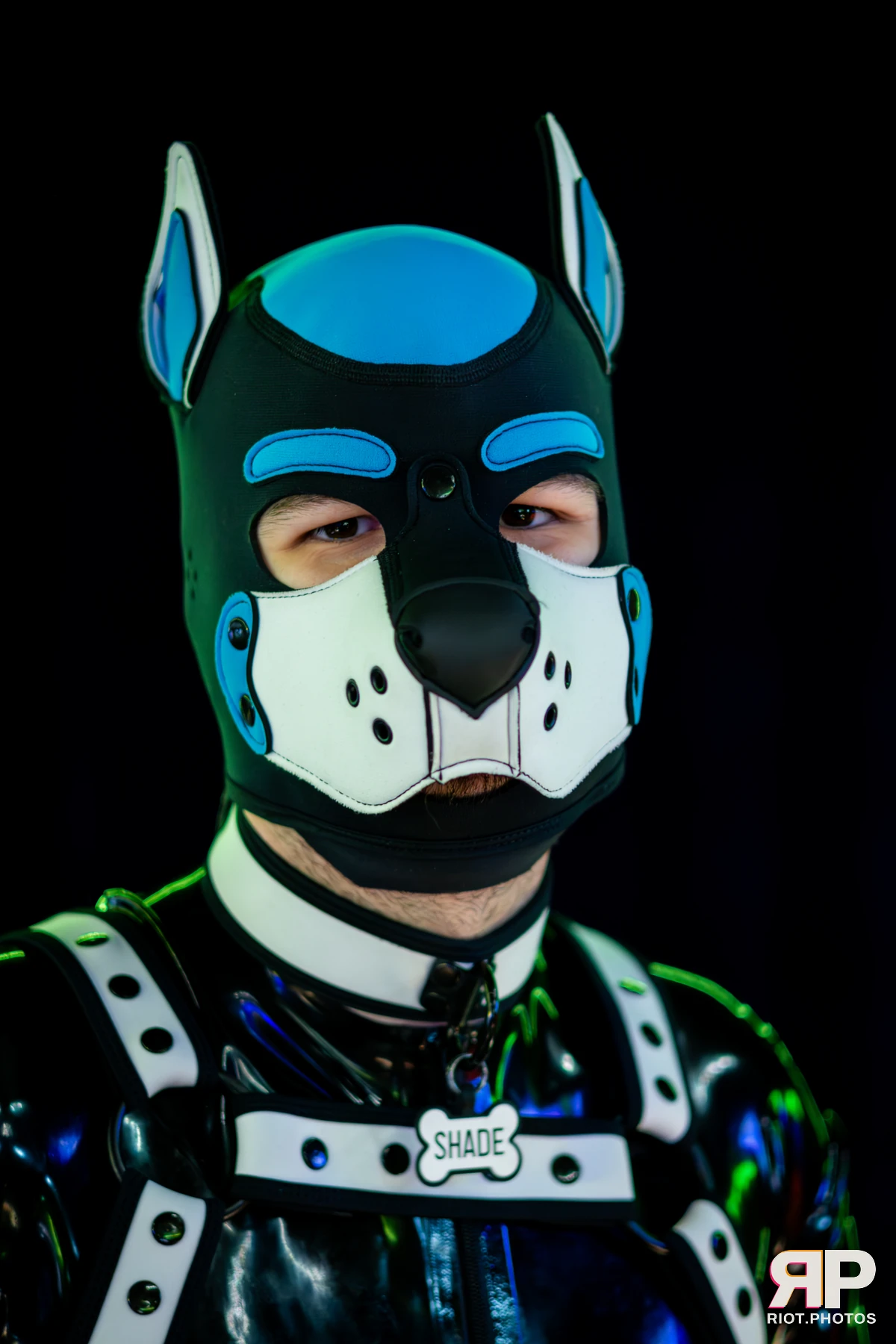 Shade — furry & pup photography by Fluffy Riot — photo 39