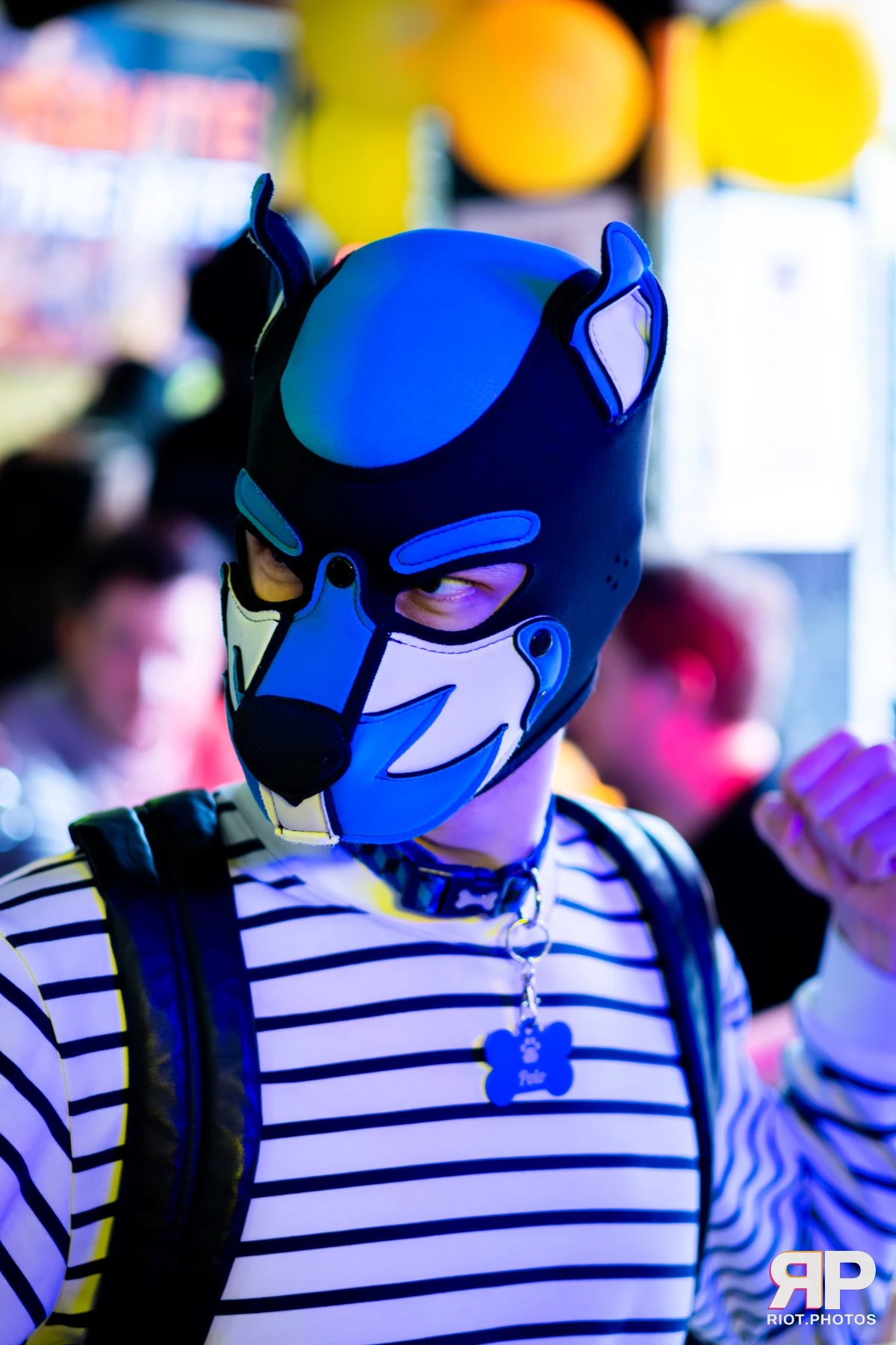 Kennel Klub - April, 2026 — 04 Apr 2026, Fluffy Riot photography — photo 7